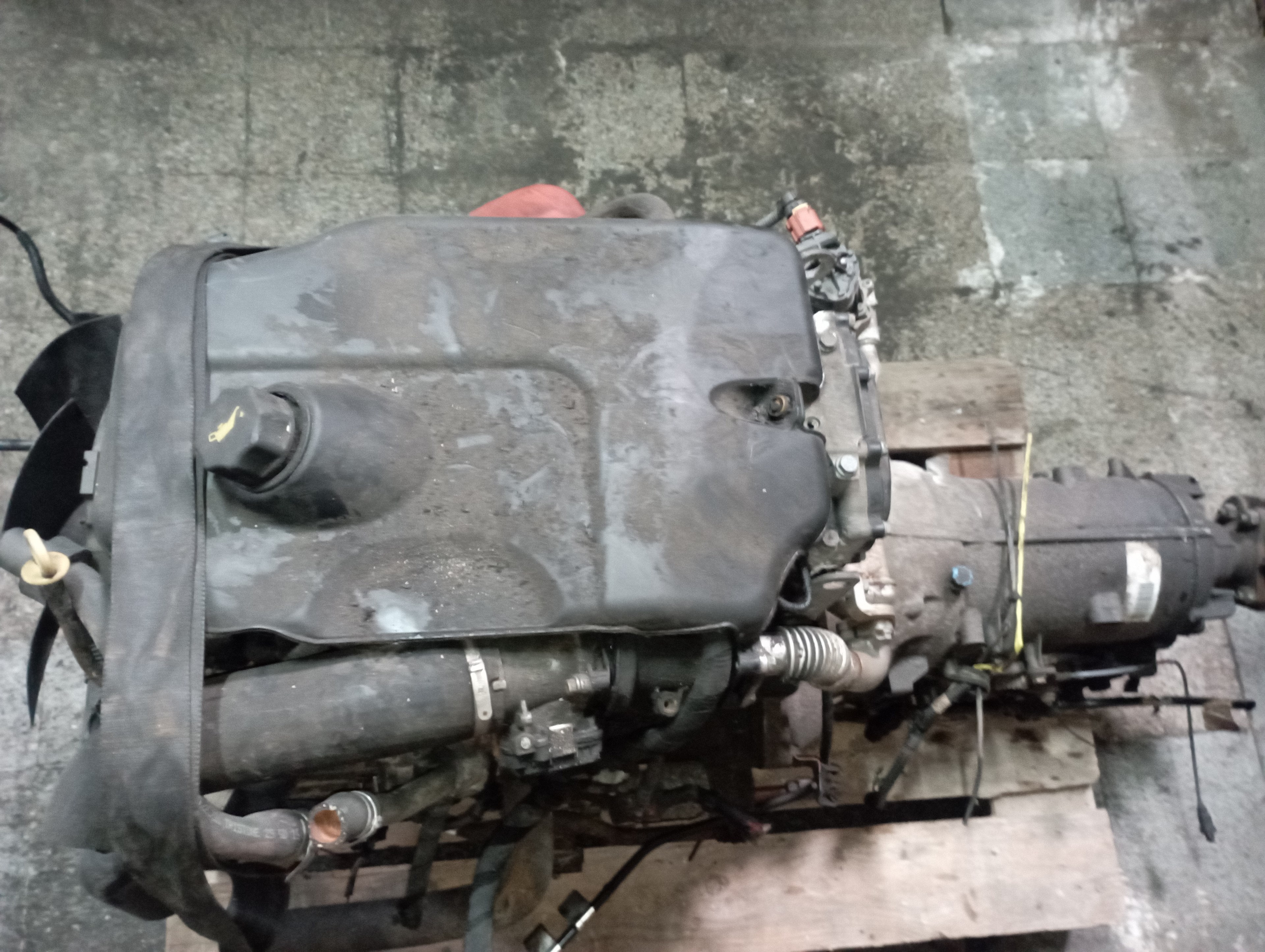IVECO Daily 6 generation (2014-2019) Engine F1AFL411C 25245305