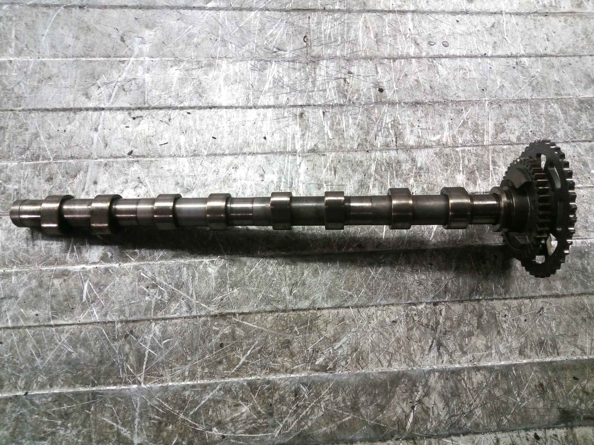 BMW 1 Series E81/E82/E87/E88 (2004-2013) Exhaust Camshaft 1131779751203 25603679