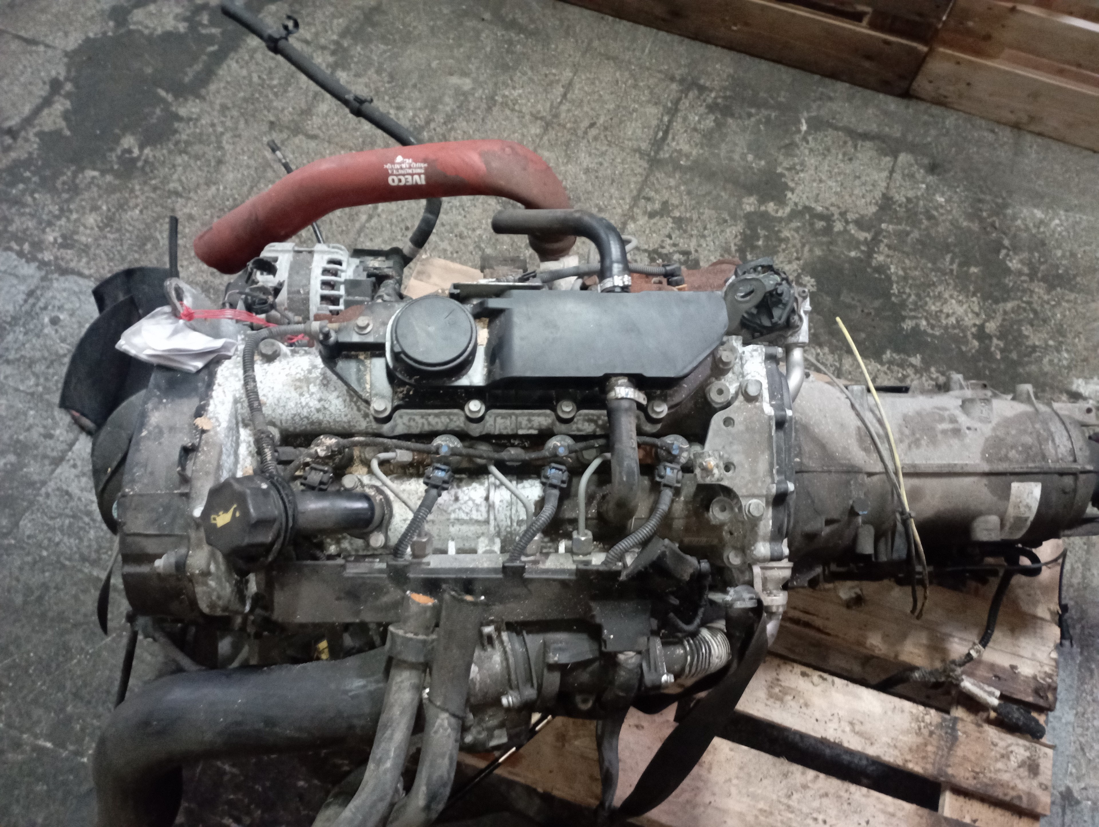 IVECO Daily 6 generation (2014-2019) Engine F1AFL411A 25244563