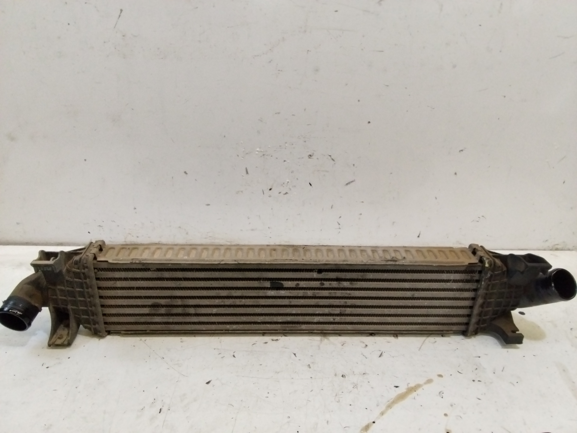 FORD Focus 2 generation (2004-2011) Intercooler Radiator NOREF 25358347