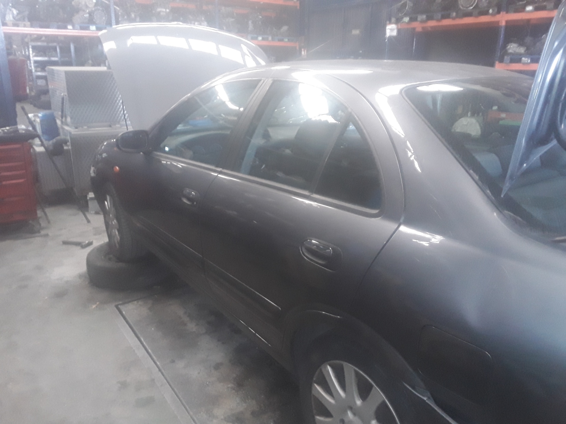 NISSAN Almera N16 (2000-2006) Помпа кондиціонера 92600BN311 24059334