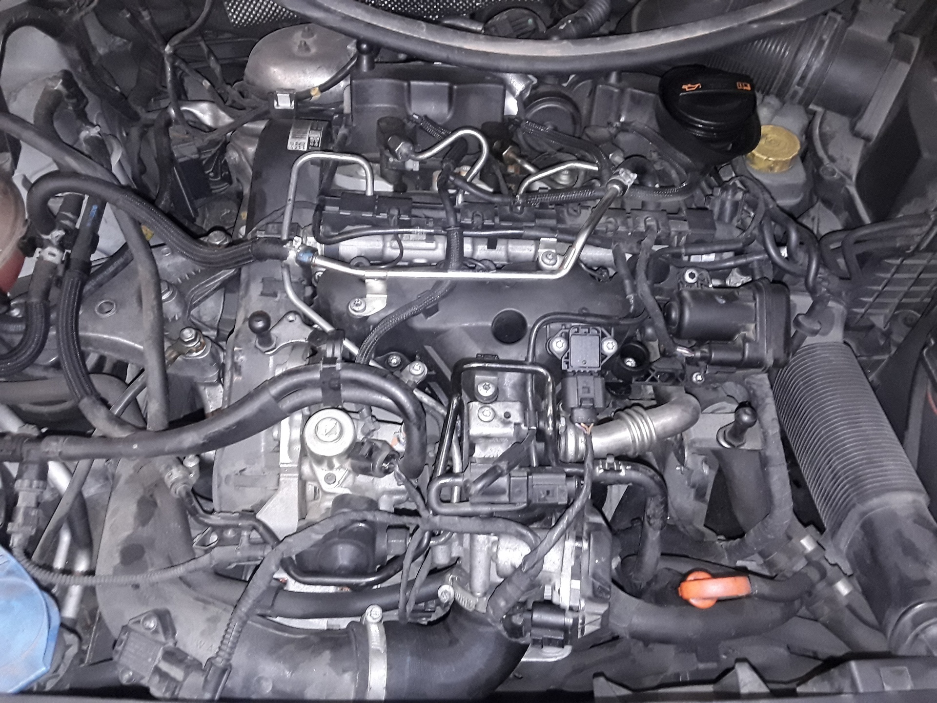 VOLKSWAGEN Polo 5 generation (2009-2017) Motor szerelő hátlapja 6Q0199851 23767155