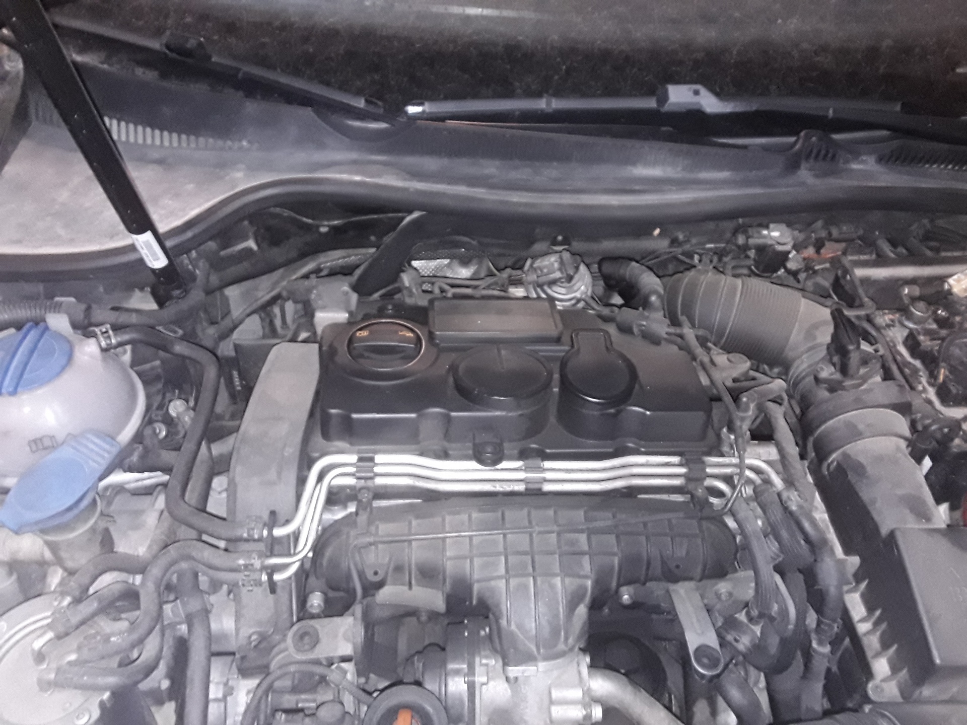 VOLKSWAGEN Golf 6 generation (2008-2015) EGR hűtő 03G131512 25188540