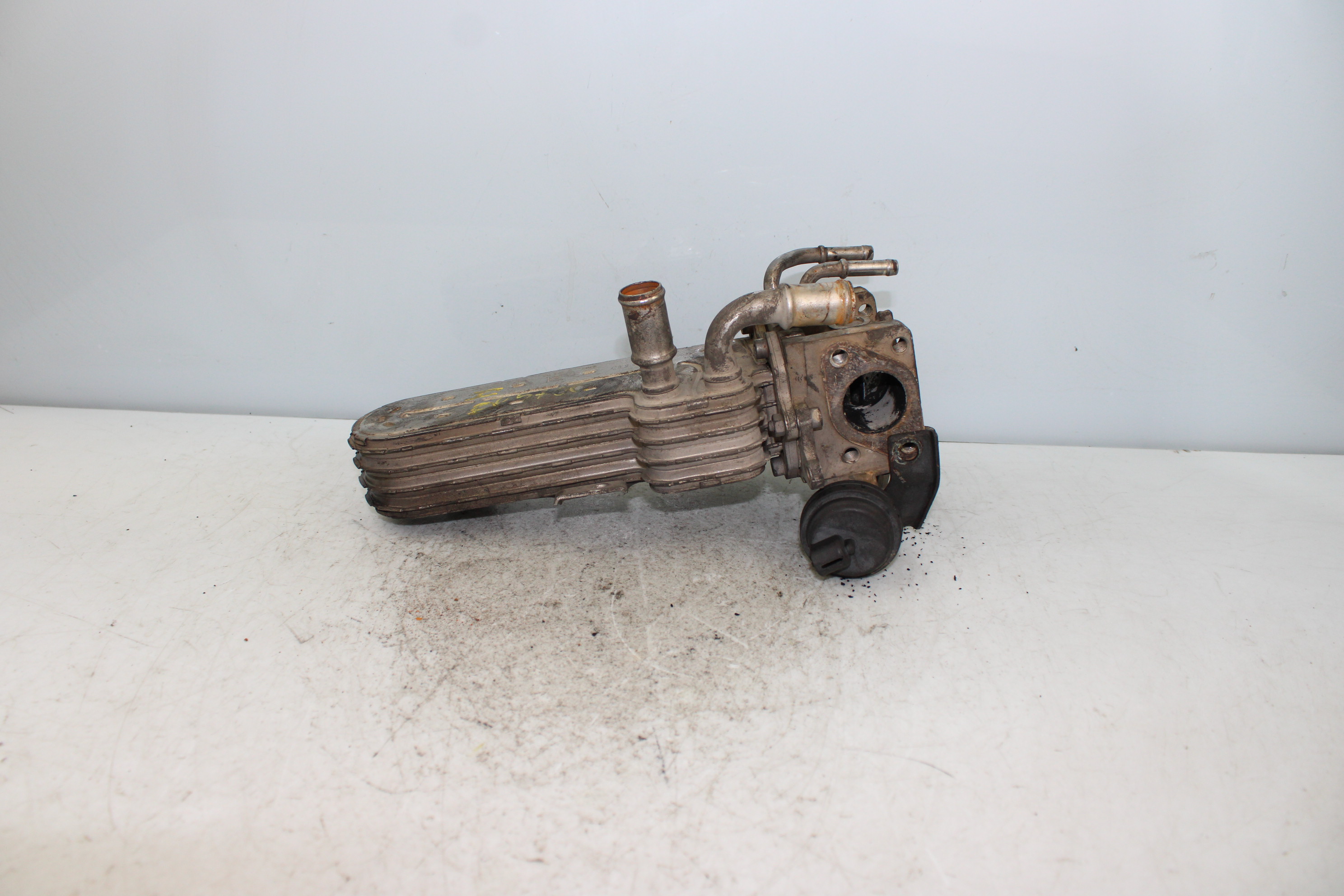 SEAT Leon 2 generation (2005-2012) EGR hűtő 038131513 25179122