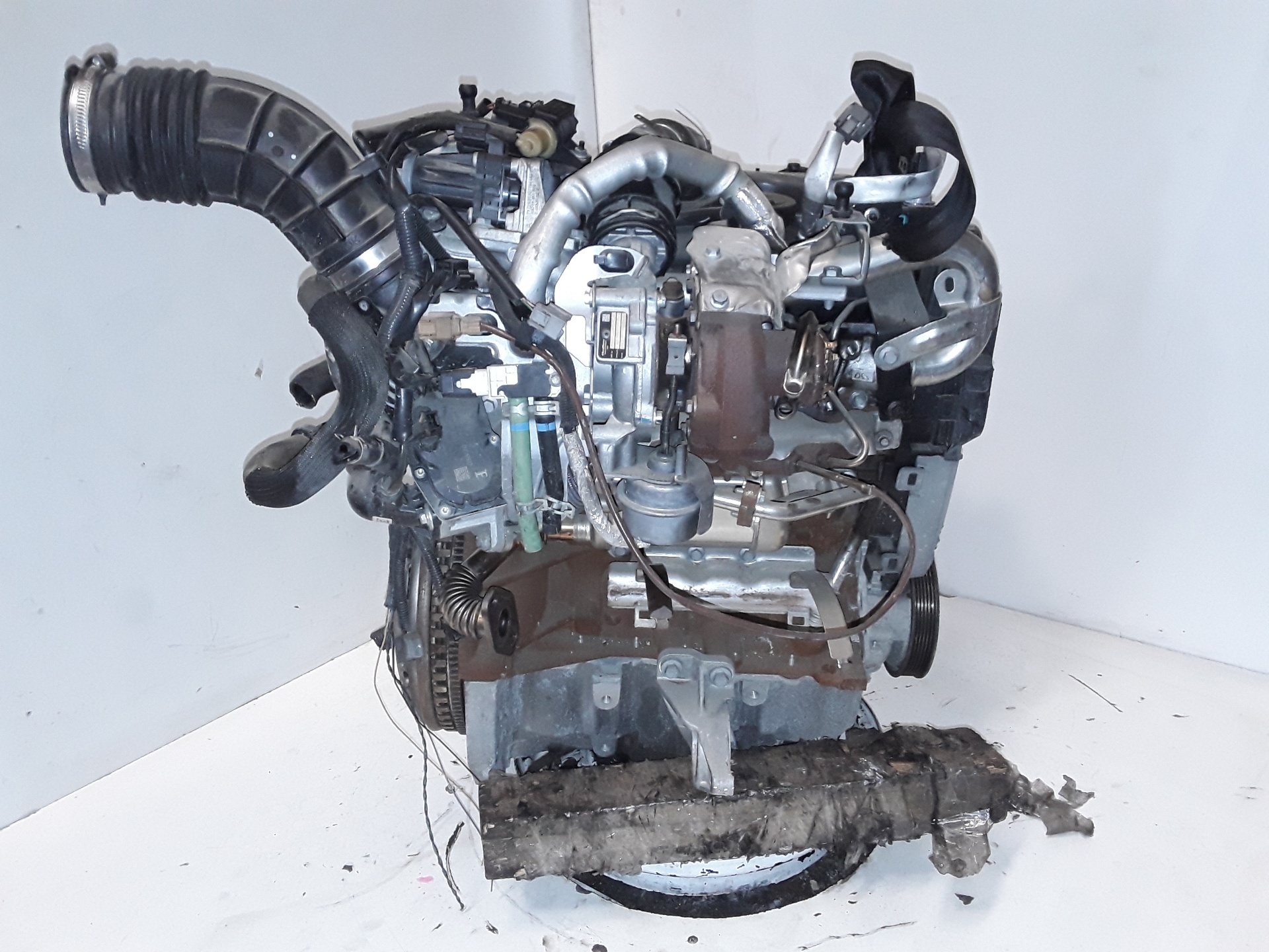 NISSAN Qashqai 2 generation (2013-2023) Variklis K9KF646 19288057