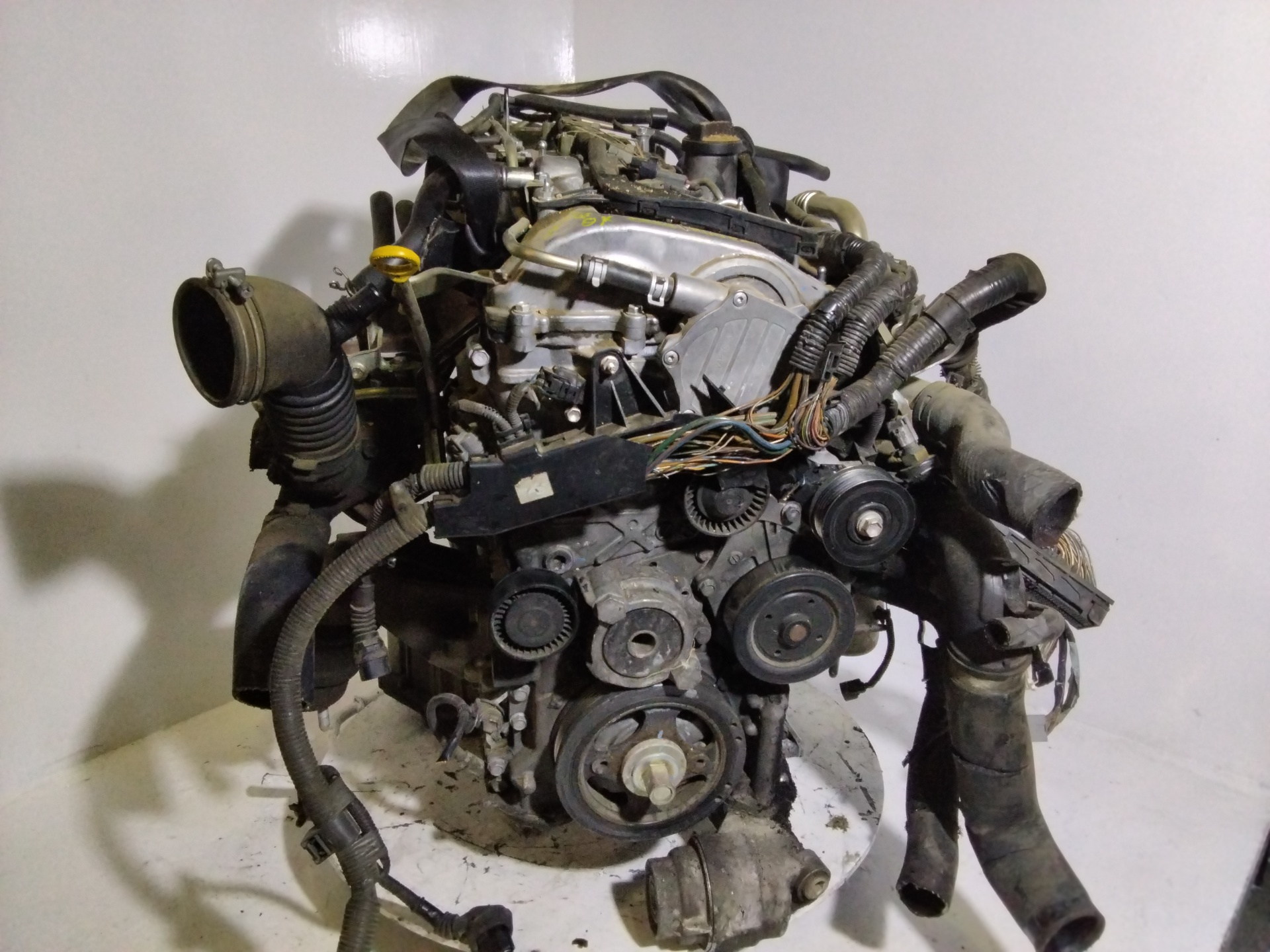 LEXUS IS XE20 (2005-2013) Motor 2AD 24064004