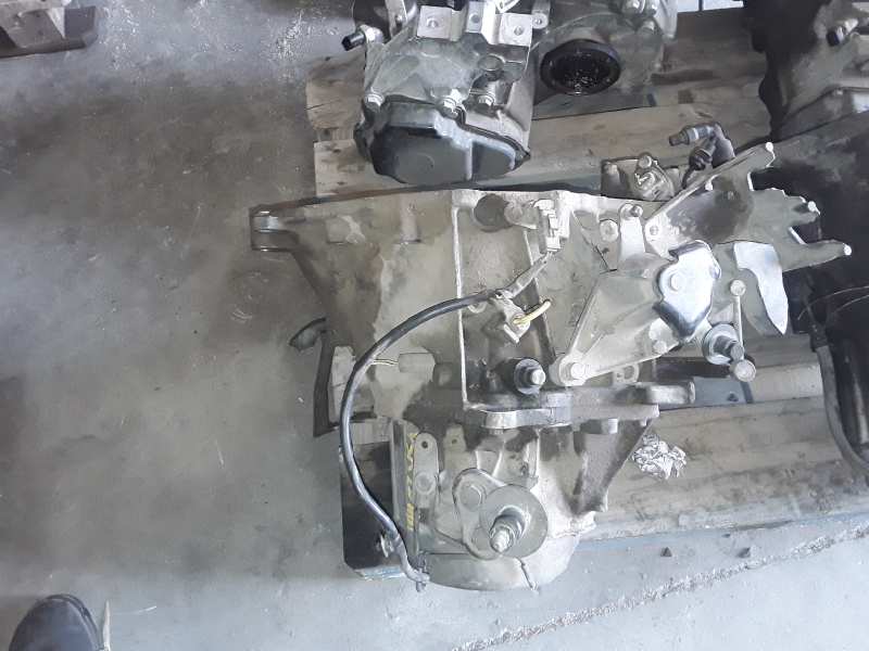 CITROËN Xsara 1 generation (1997-2004) Gearbox 20DL64 19169252