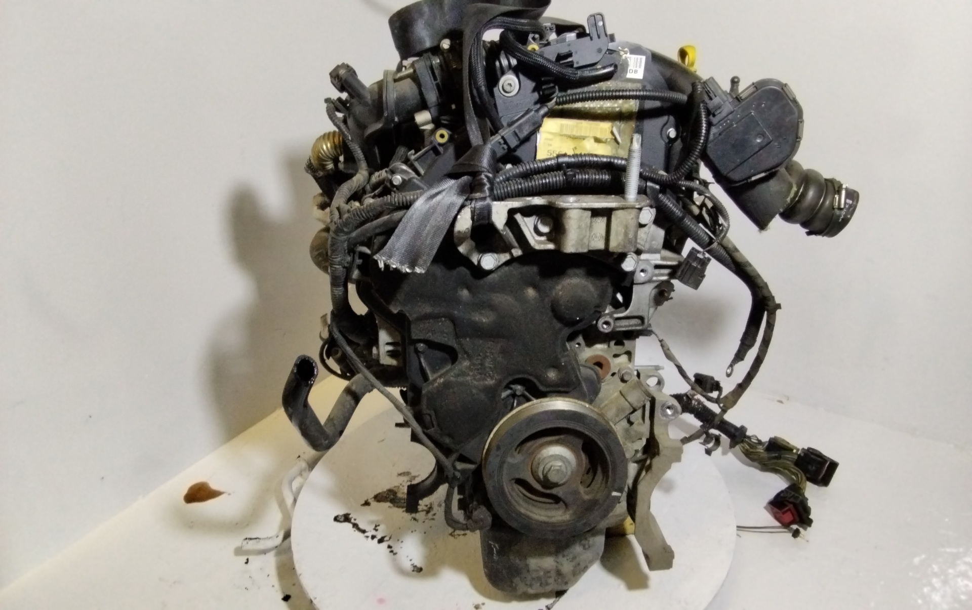 FORD Focus 3 generation (2011-2020) Двигатель T1DB 25196191