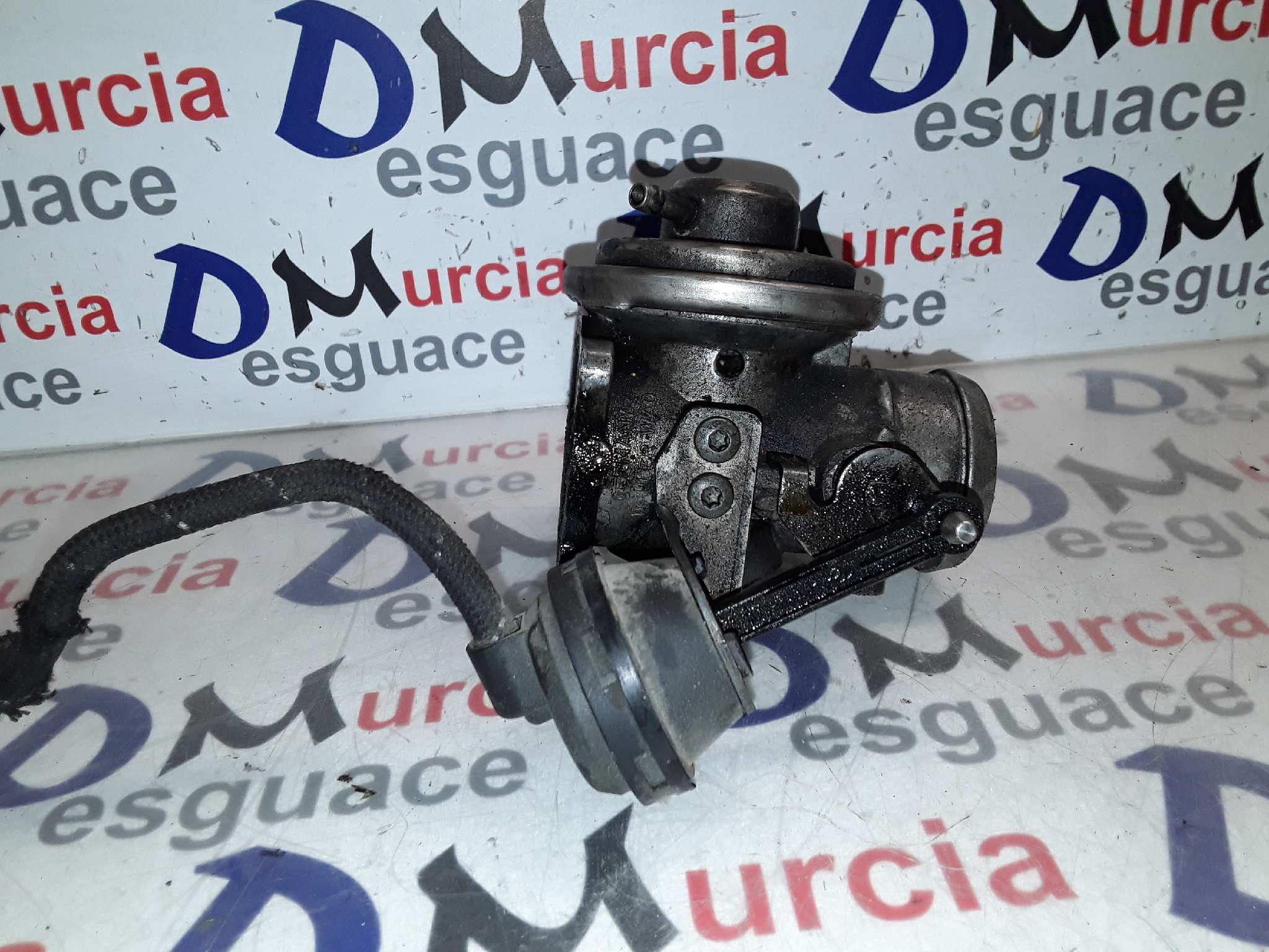 VOLKSWAGEN Passat B5 (1996-2005) EGR Valve 038129637B 23648236