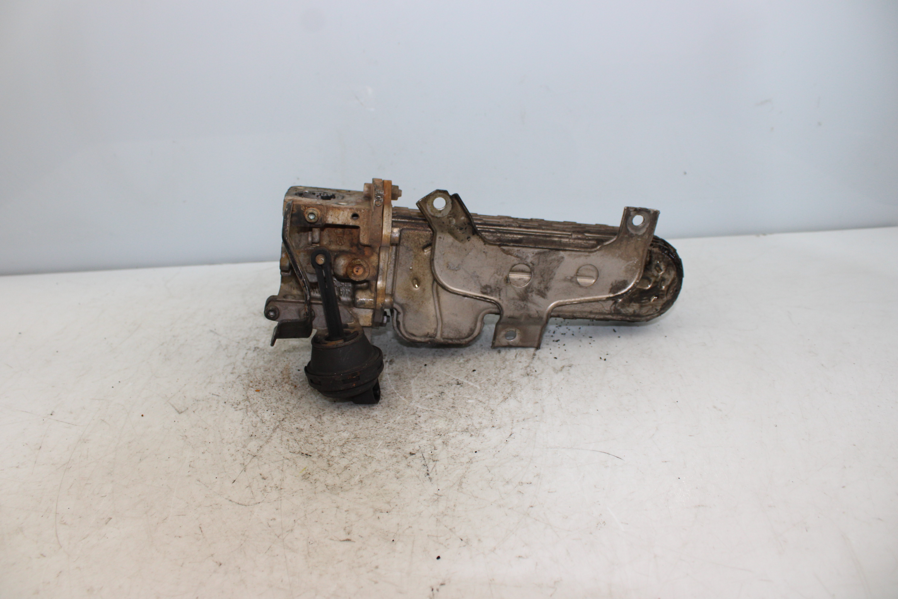 SEAT Leon 2 generation (2005-2012) EGR hűtő 038131513 25179122