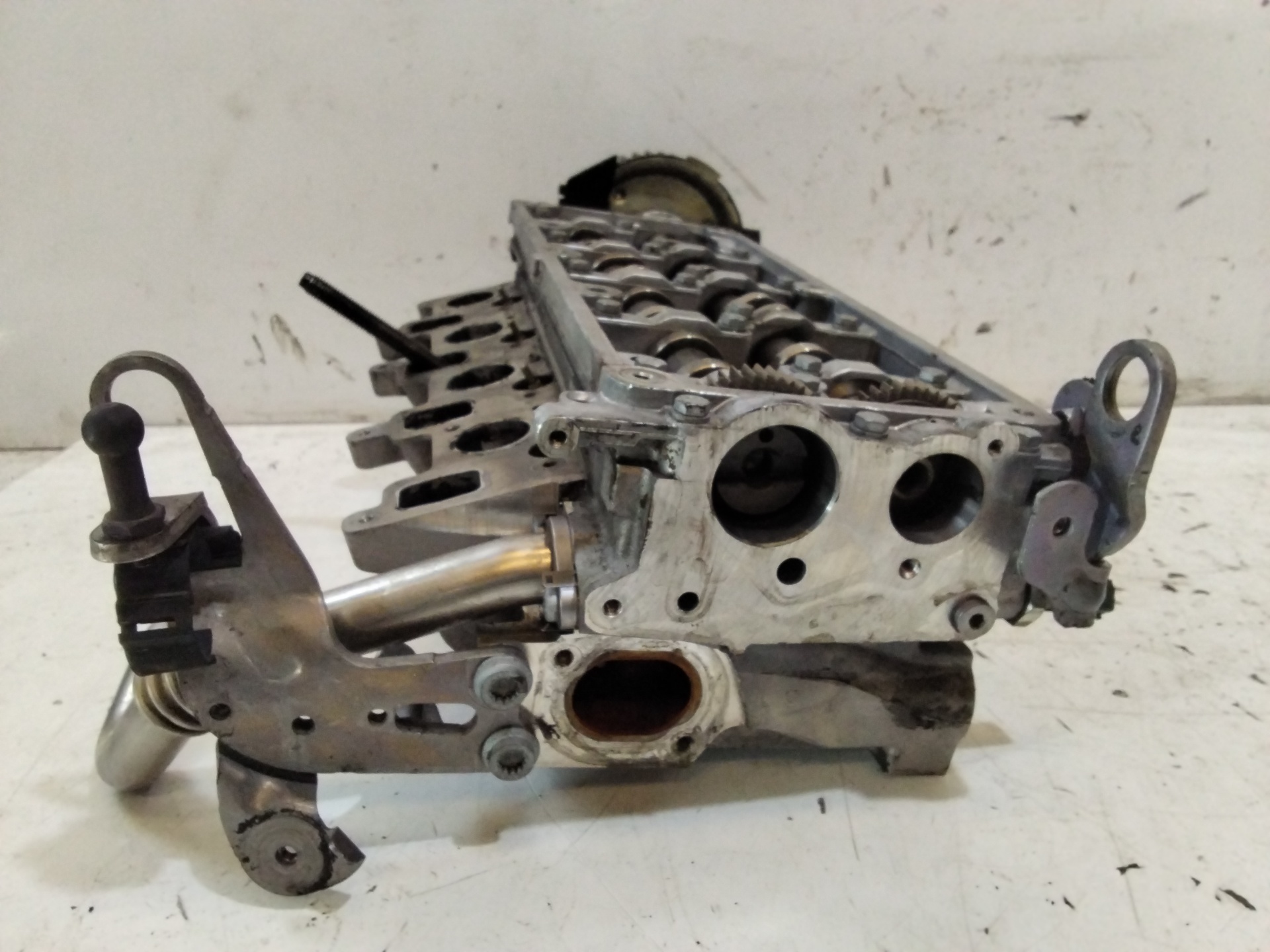 VOLKSWAGEN Caddy 3 generation (2004-2015) Engine Cylinder Head 03L103286A 25427380