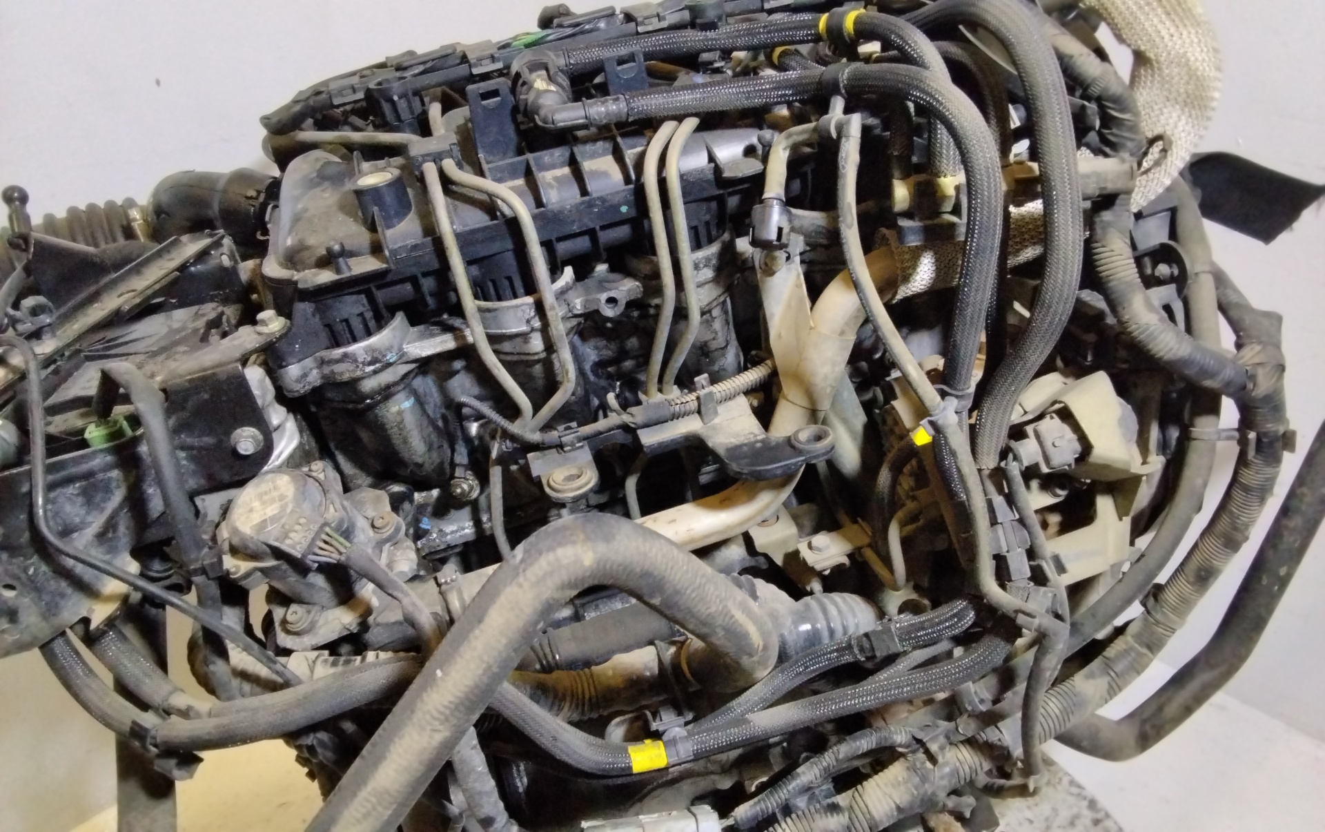 FORD Focus 2 generation (2004-2011) Engine G8DA 25267014