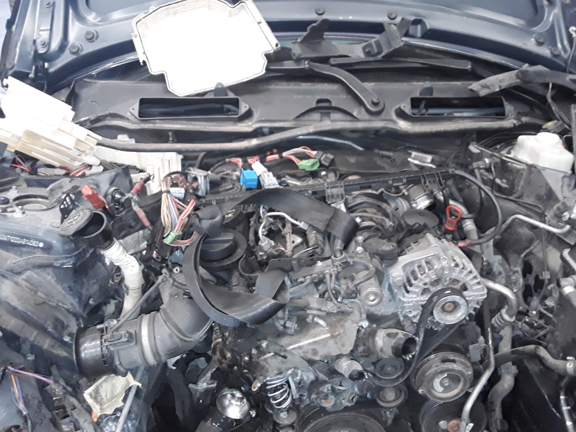 BMW 3 Series E90/E91/E92/E93 (2004-2013) Передняя часть кардана NOREF 25265274