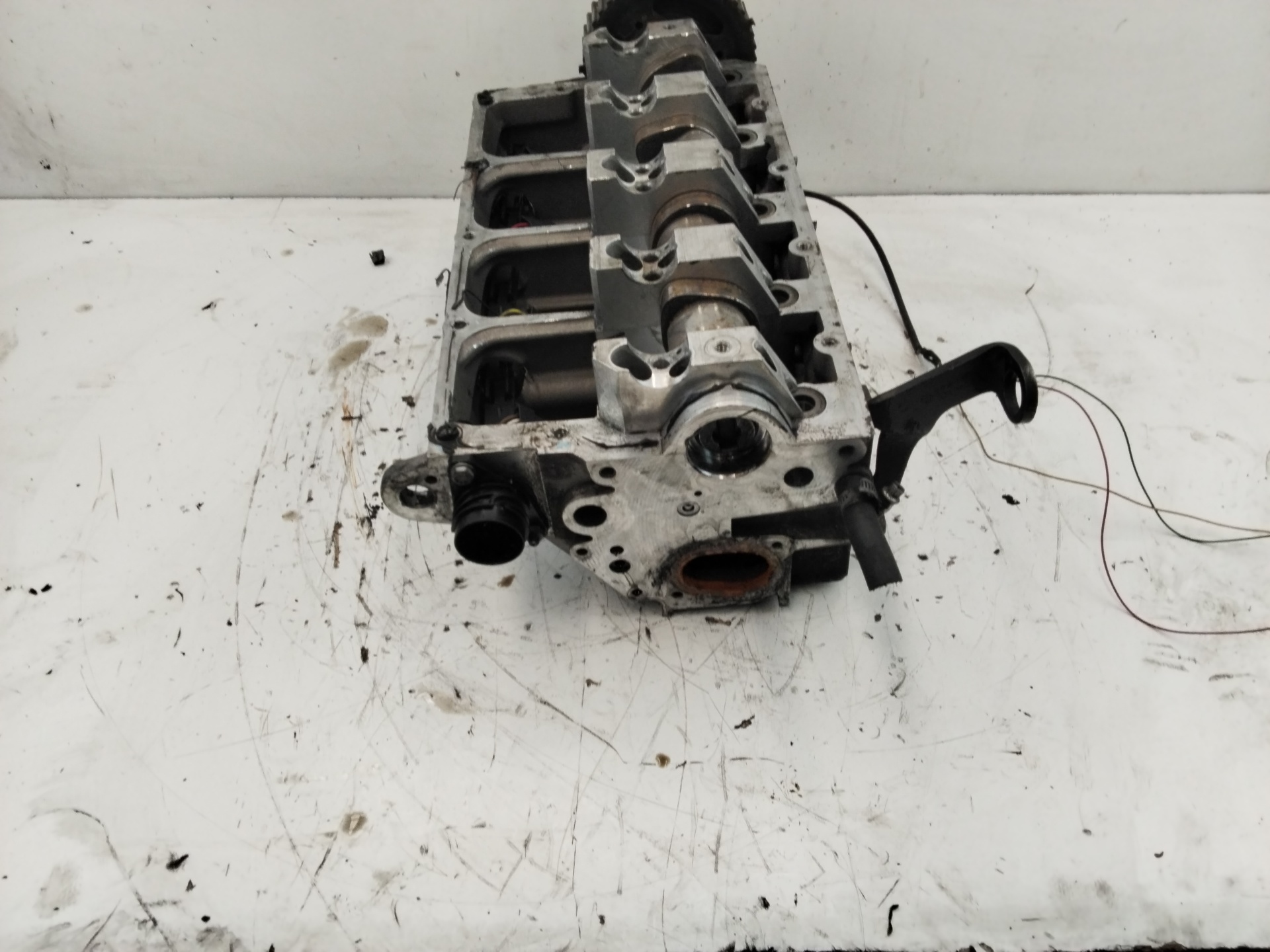 VOLKSWAGEN Passat B5 (1996-2005) Chiulasă motor 038103373 25186493