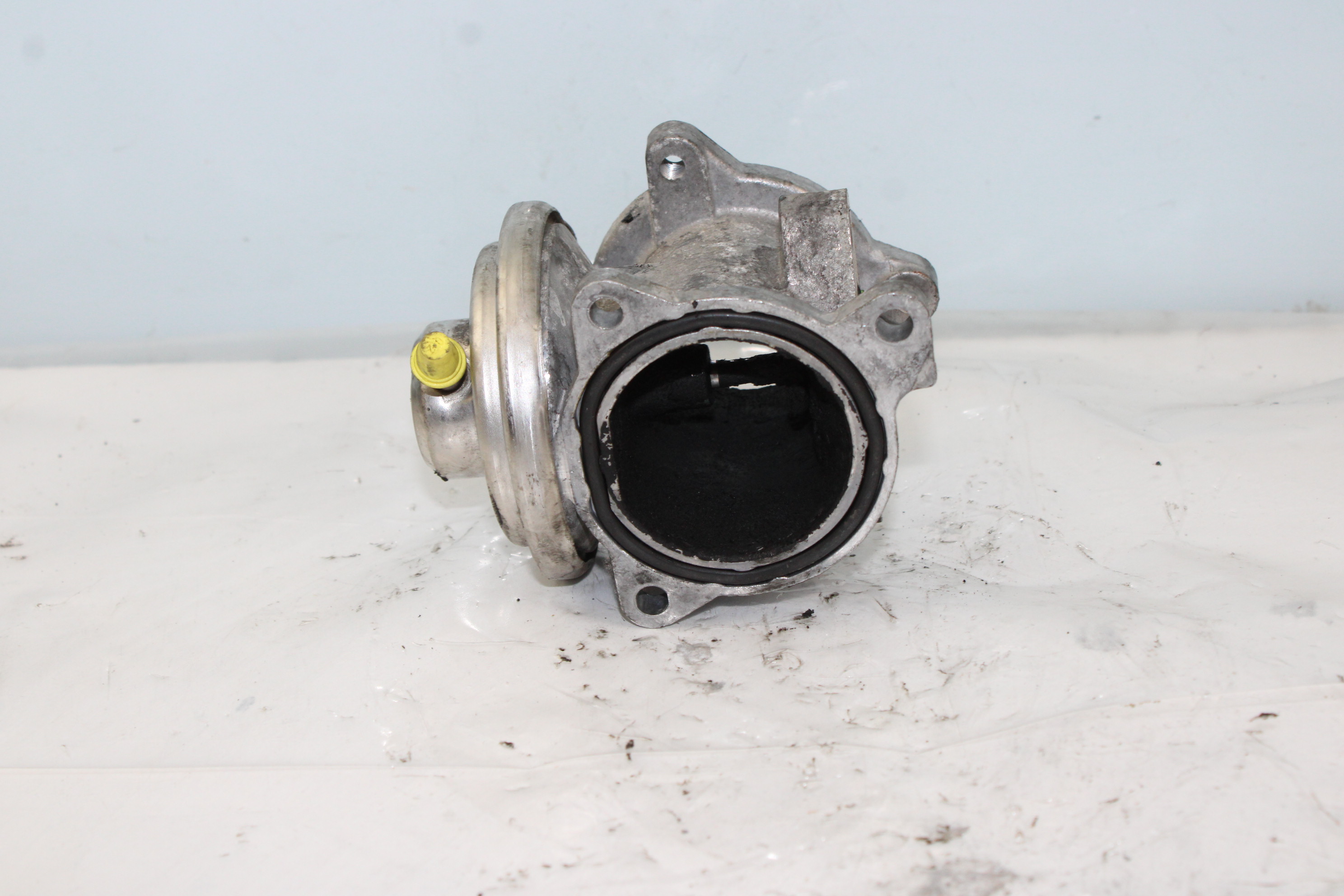 MAZDA 323 BJ (1998-2003) EGR Valve 045131501F 25367998