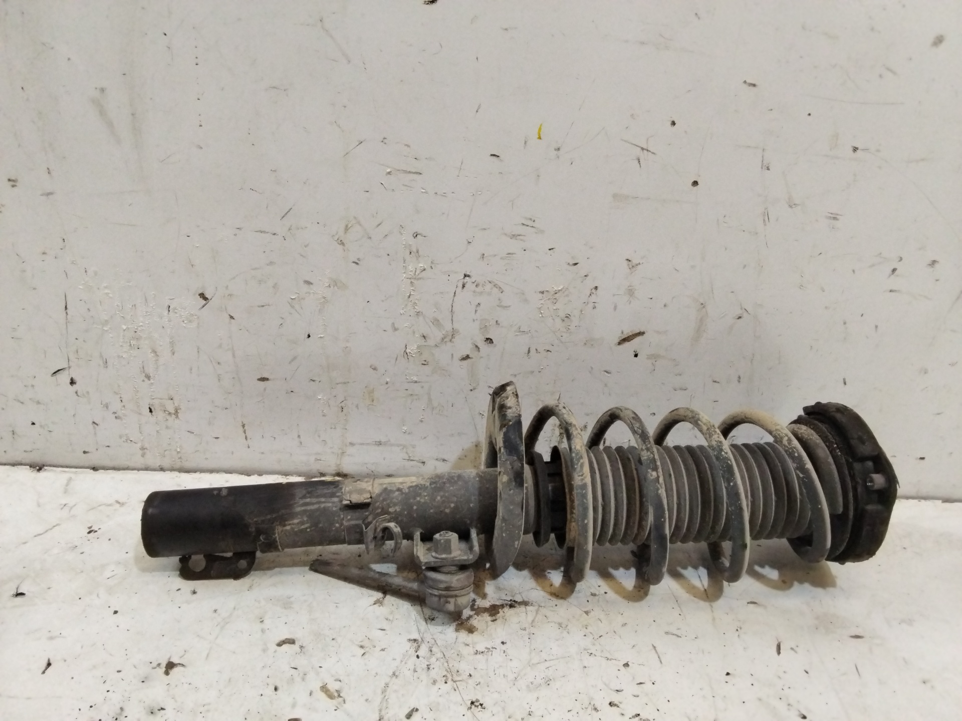 SKODA Fabia 6Y (1999-2007) Front Right Shock Absorber NOREF 25265463