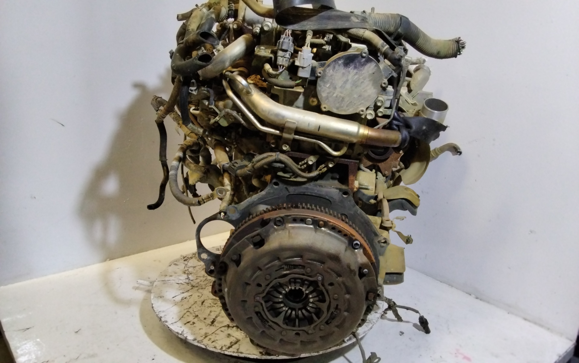 TOYOTA Hilux 7 generation (2005-2015) Engine 2GD 25191447