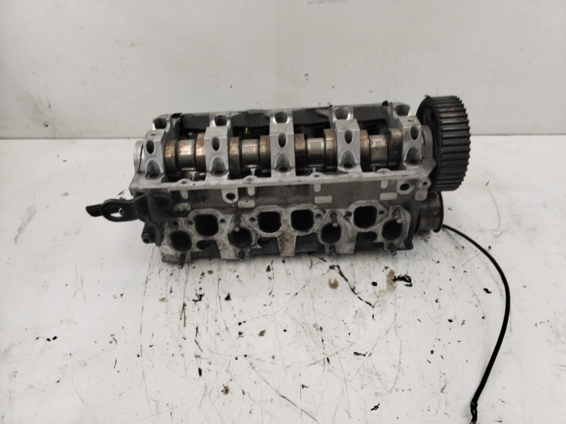 VOLKSWAGEN Passat B5 (1996-2005) Chiulasă motor 038103373 25186493