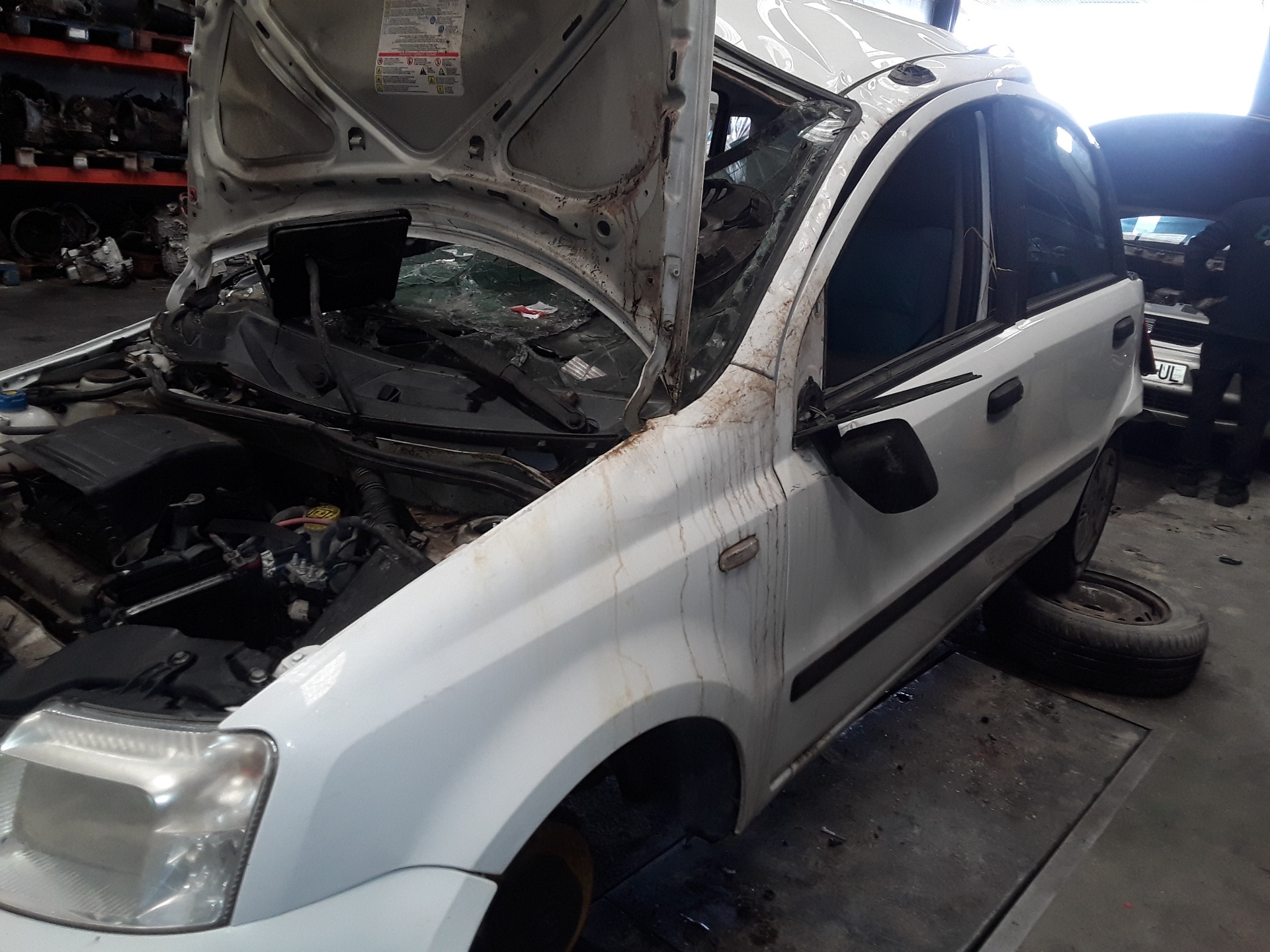 FIAT Panda 2 generation (2003-2011) Стартер 55193355 23768312