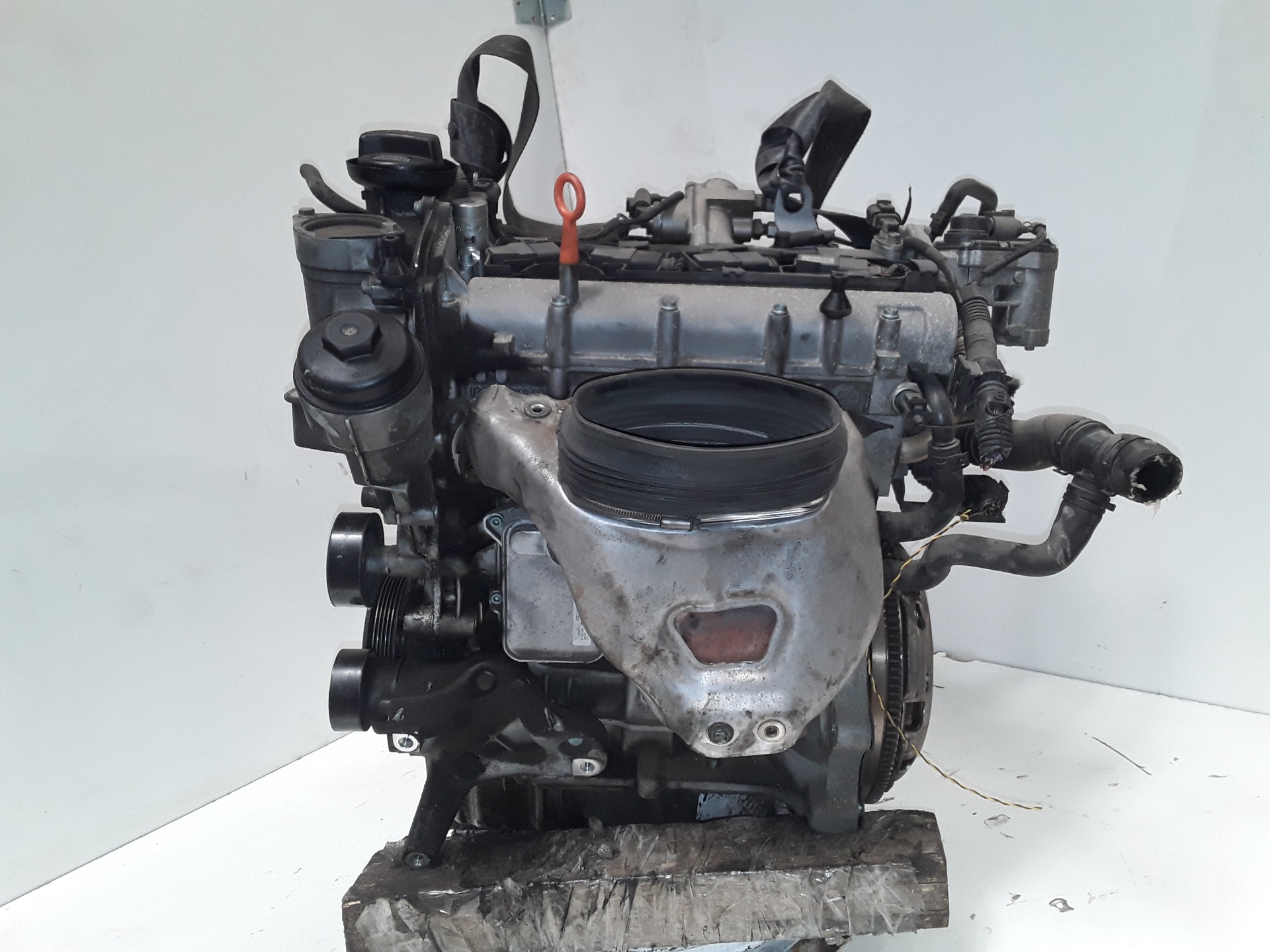 VOLKSWAGEN Golf 5 generation (2003-2009) Motor BLF 23659160