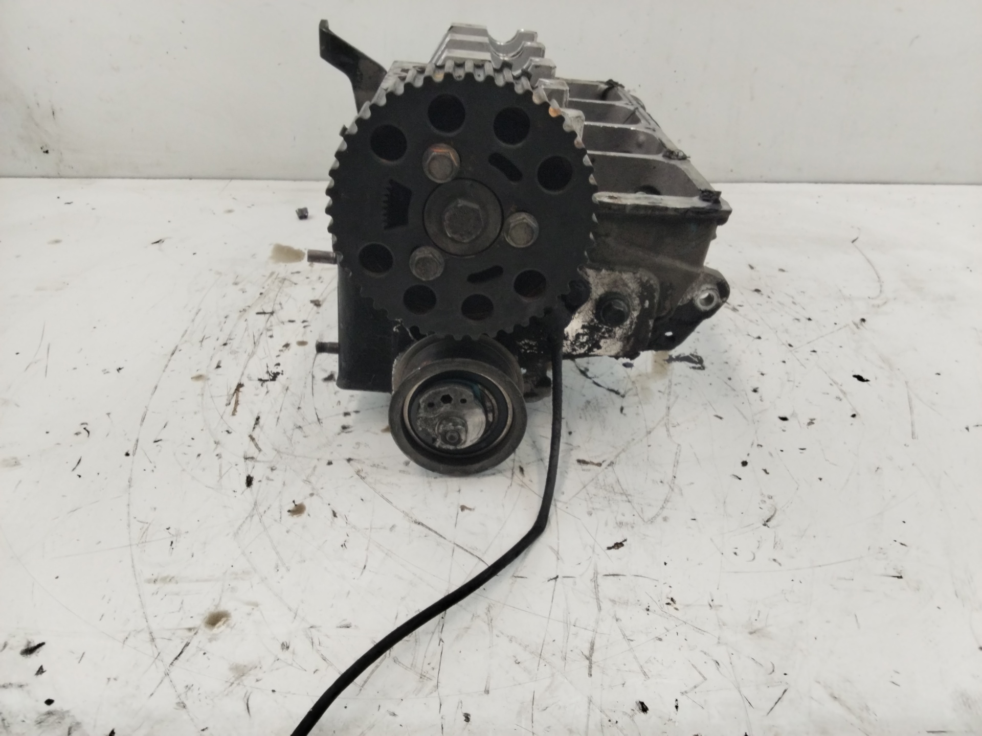 VOLKSWAGEN Passat B5 (1996-2005) Chiulasă motor 038103373 25186493