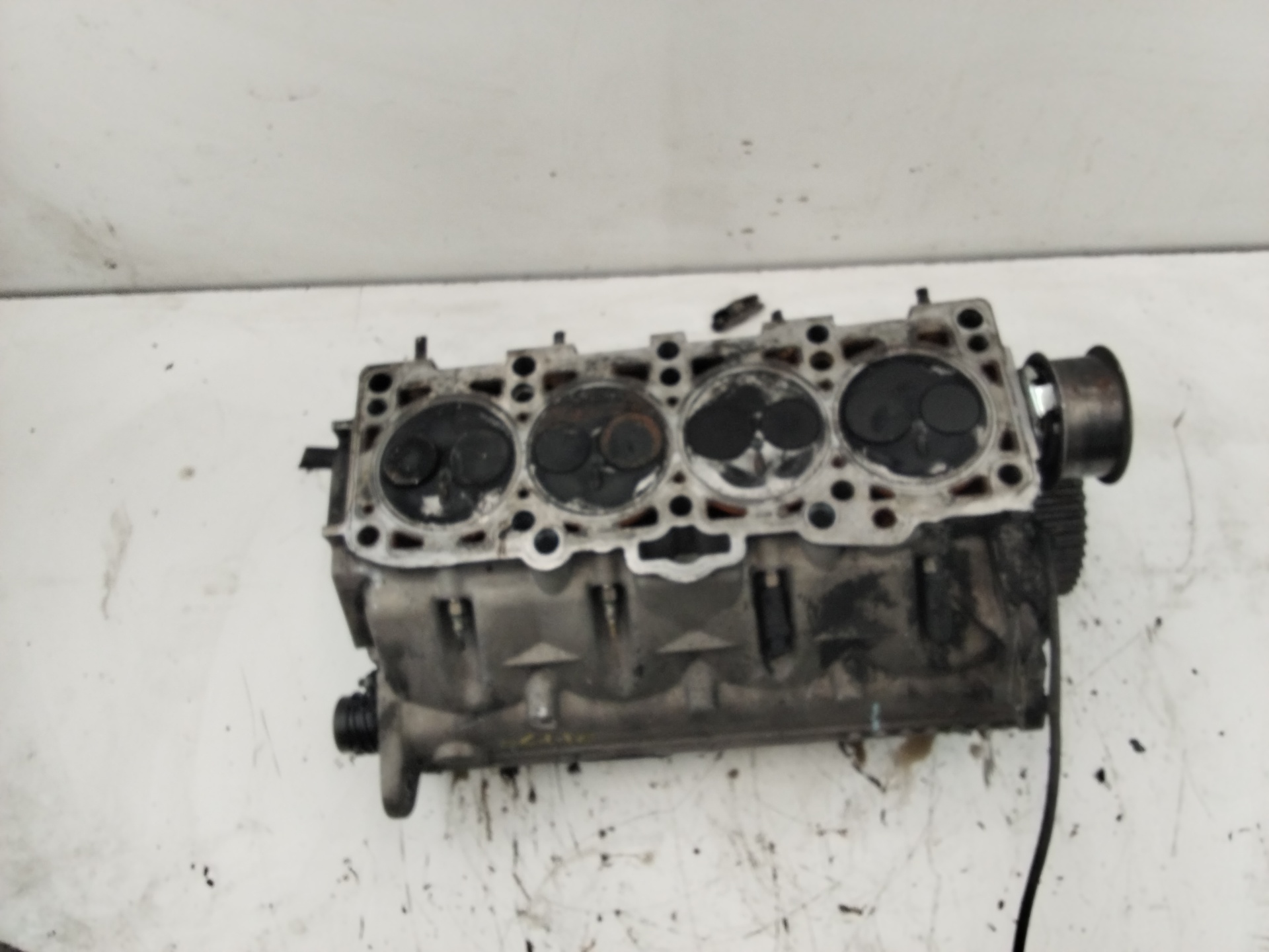 VOLKSWAGEN Passat B5 (1996-2005) Chiulasă motor 038103373 25186493