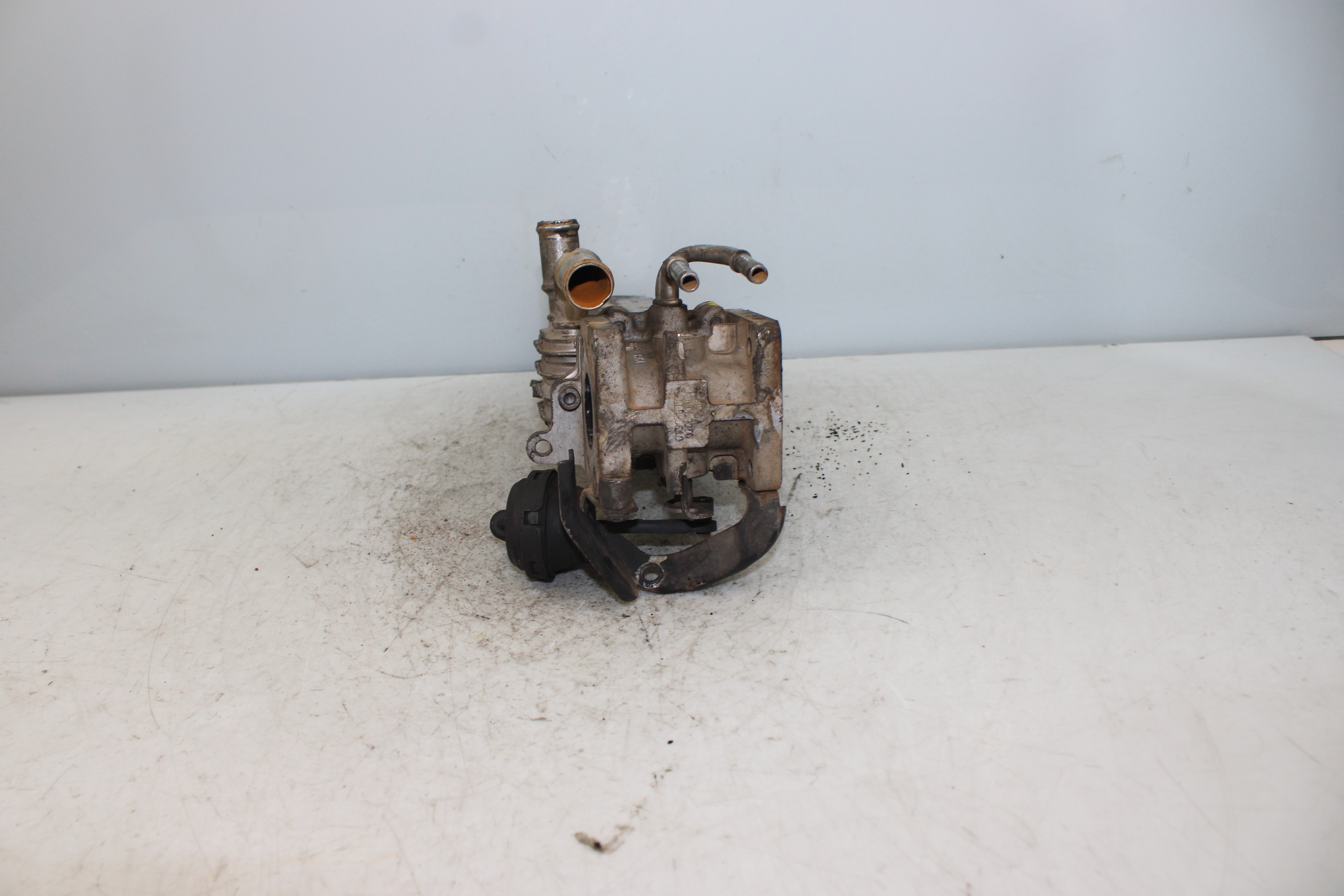 SEAT Leon 2 generation (2005-2012) EGR hűtő 038131513 25179122