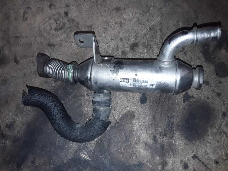 CITROËN Xsara 1 generation (1997-2004) EGR Cooler 9627242880 19018639