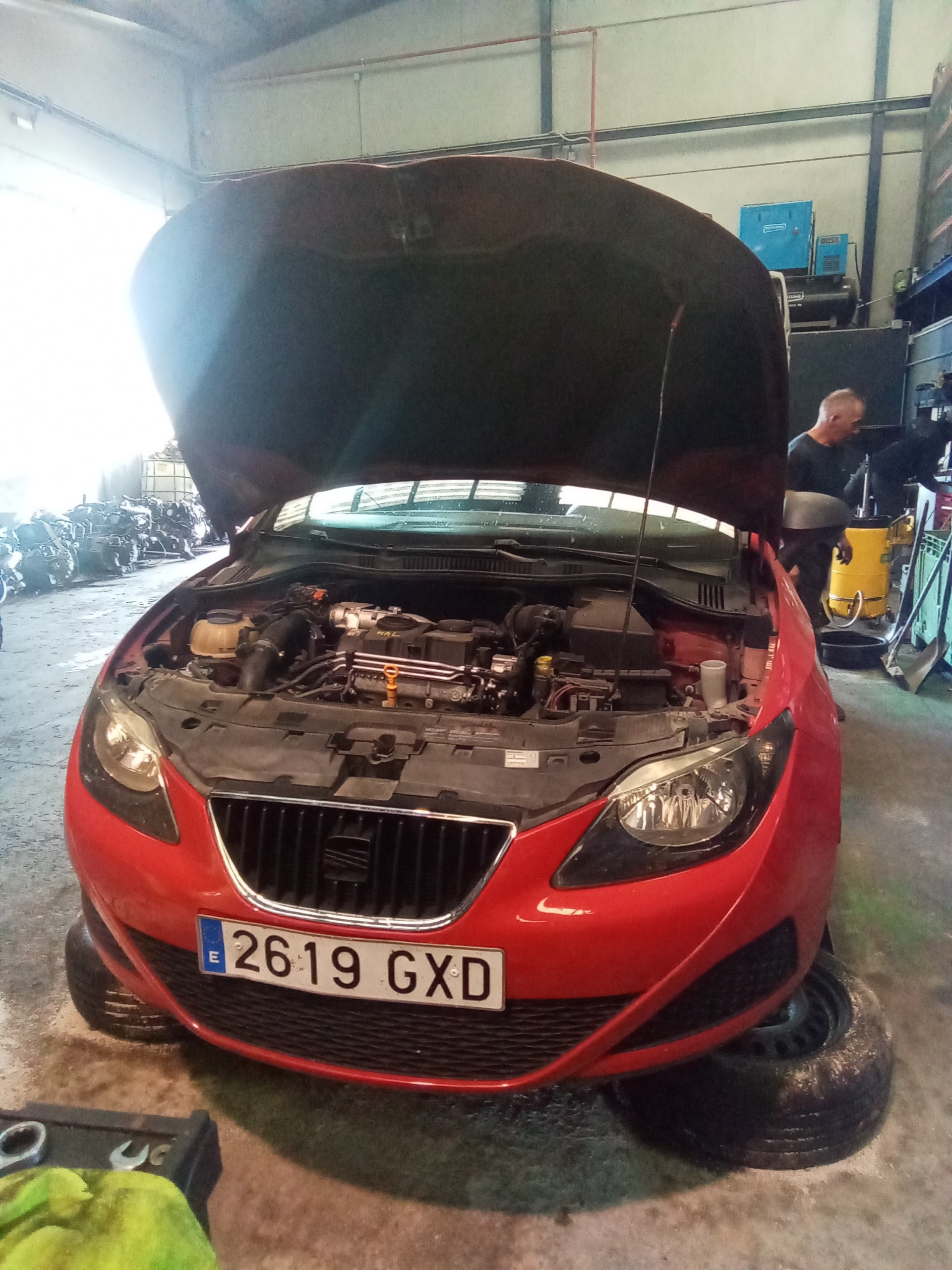 SEAT Ibiza 4 generation (2008-2017) Охладитель Eгр 045131513M 23713099