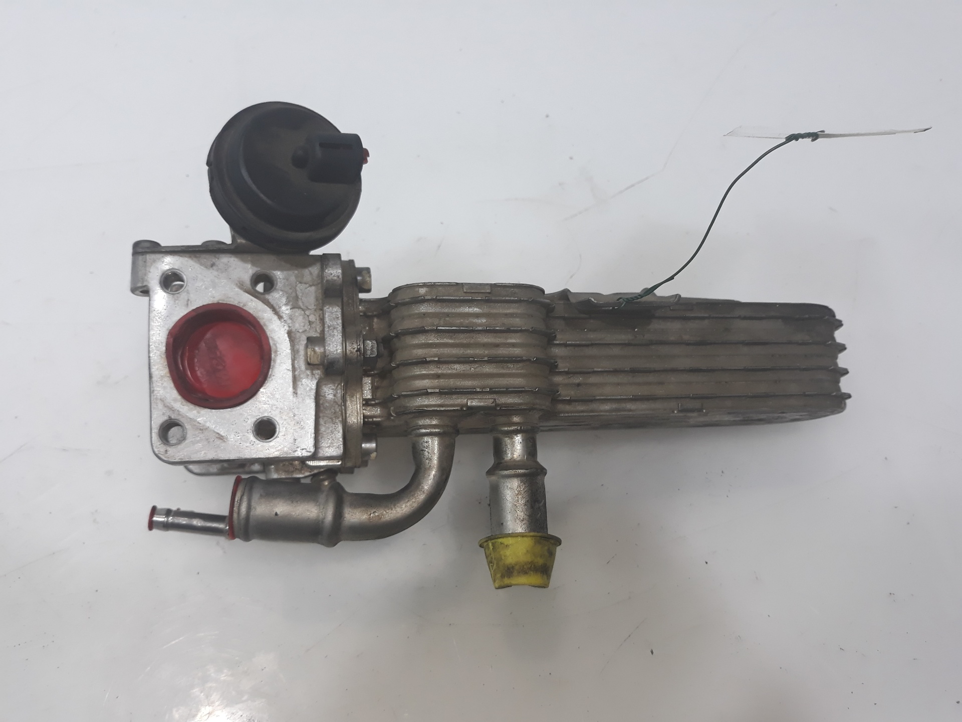 CHEVROLET Leon 2 generation (2005-2012) EGR hűtő 038131513, 038131513 19106126