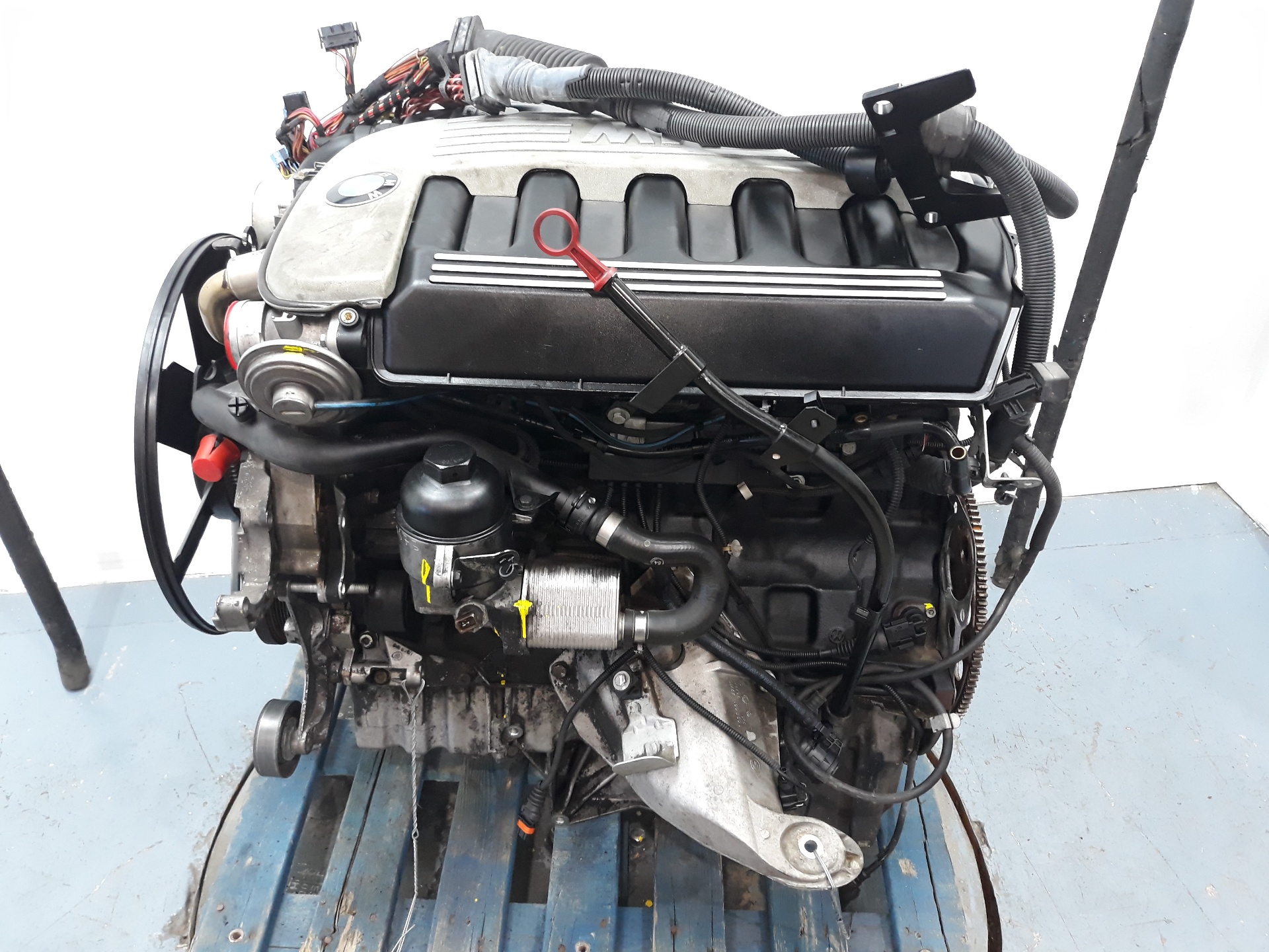 ALFA ROMEO X5 E53 (1999-2006) Engine M57,M57 23251533