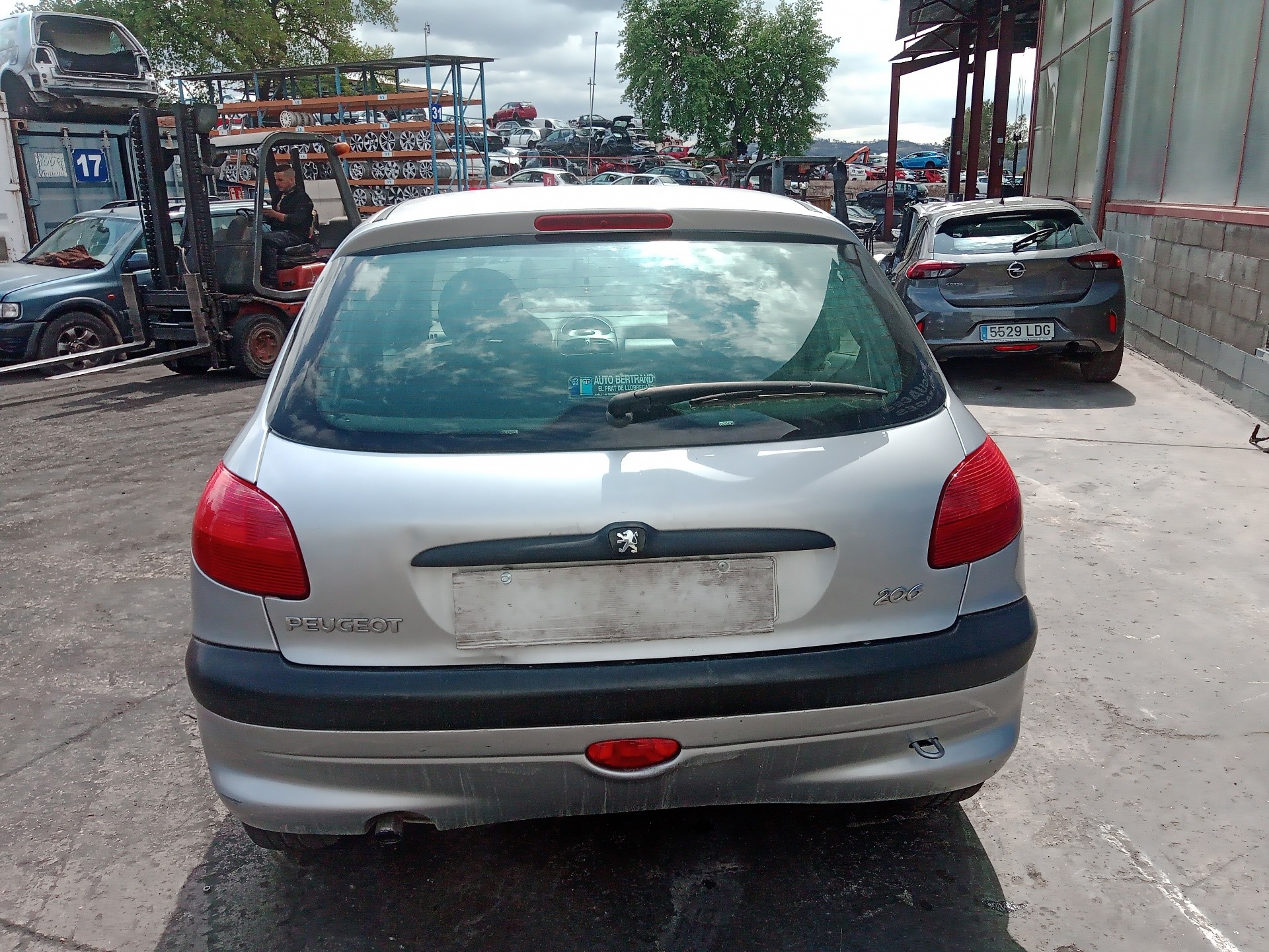 PEUGEOT 206 1 generation (1998-2009) Зеркало передней левой двери 017003 23801732