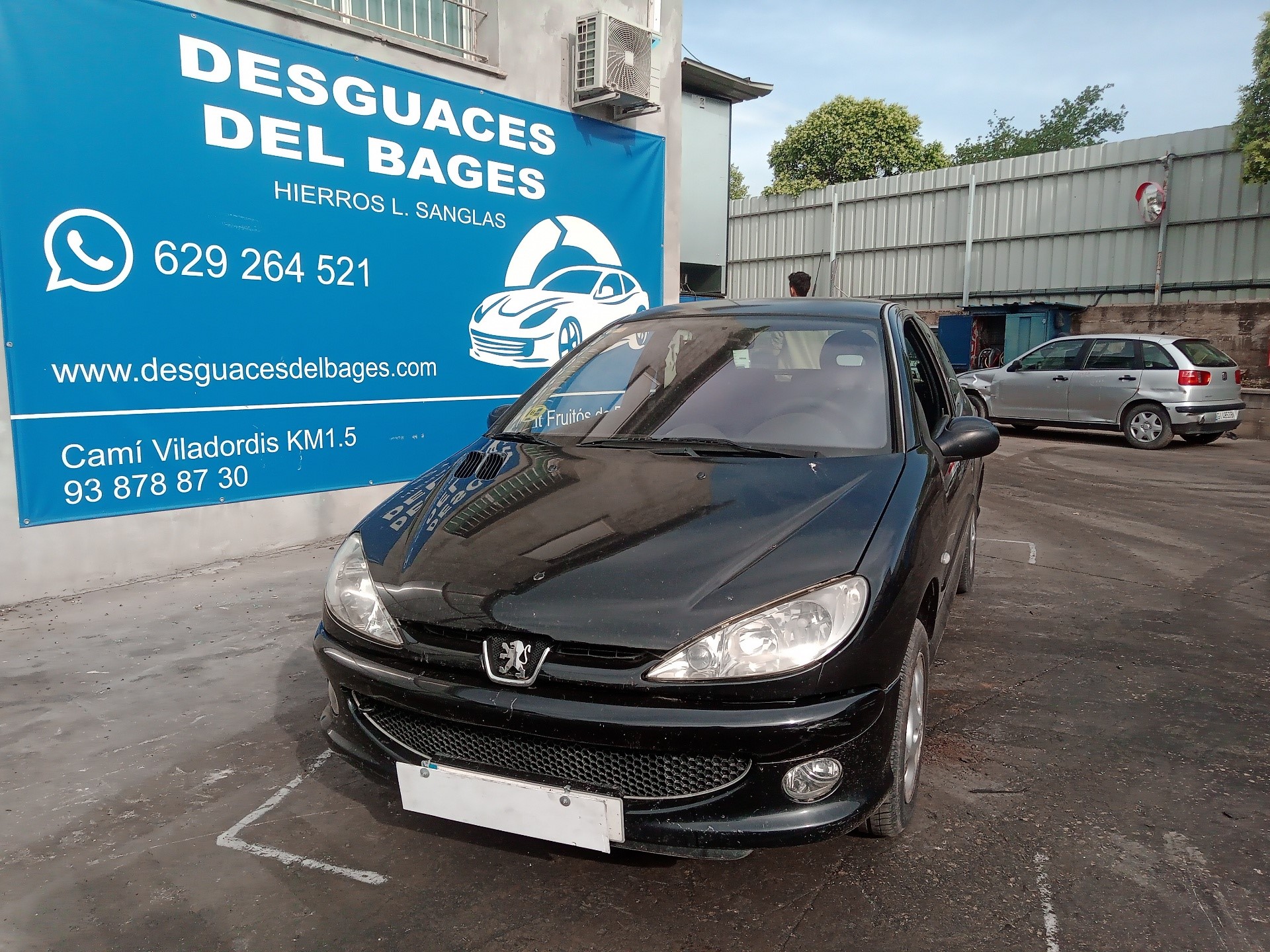 PEUGEOT 206 1 generation (1998-2009) Зеркало передней левой двери 017003 23801539