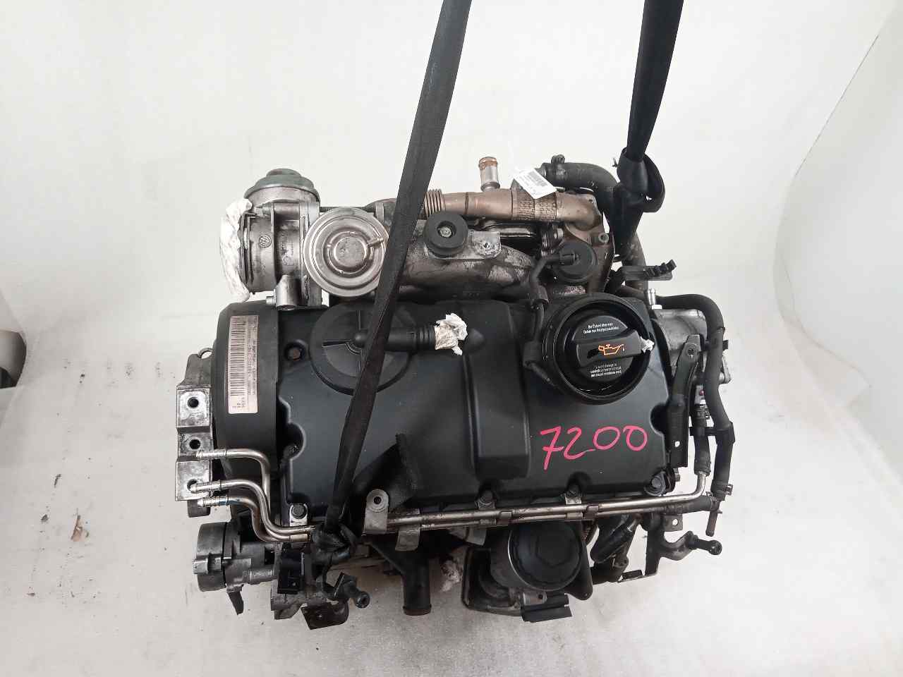 AUDI A3 8P (2003-2013) Motor BKC 24828446