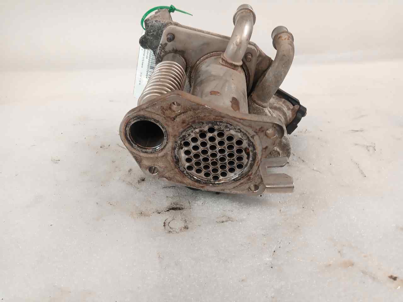 Arrefecedor egr 70036814 de Nissan Qashqai / qashqai +2 i (j10, nj10, jj10e) 2007-2013 106 CV con 312000 km - pieza usada