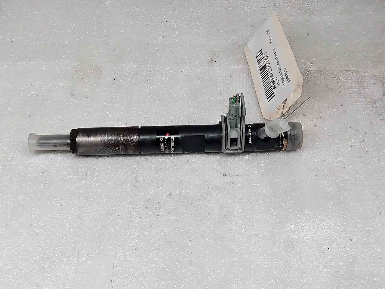 RENAULT Scenic 2 generation (2003-2010) Fuel Injector EJBR01801A 23815418