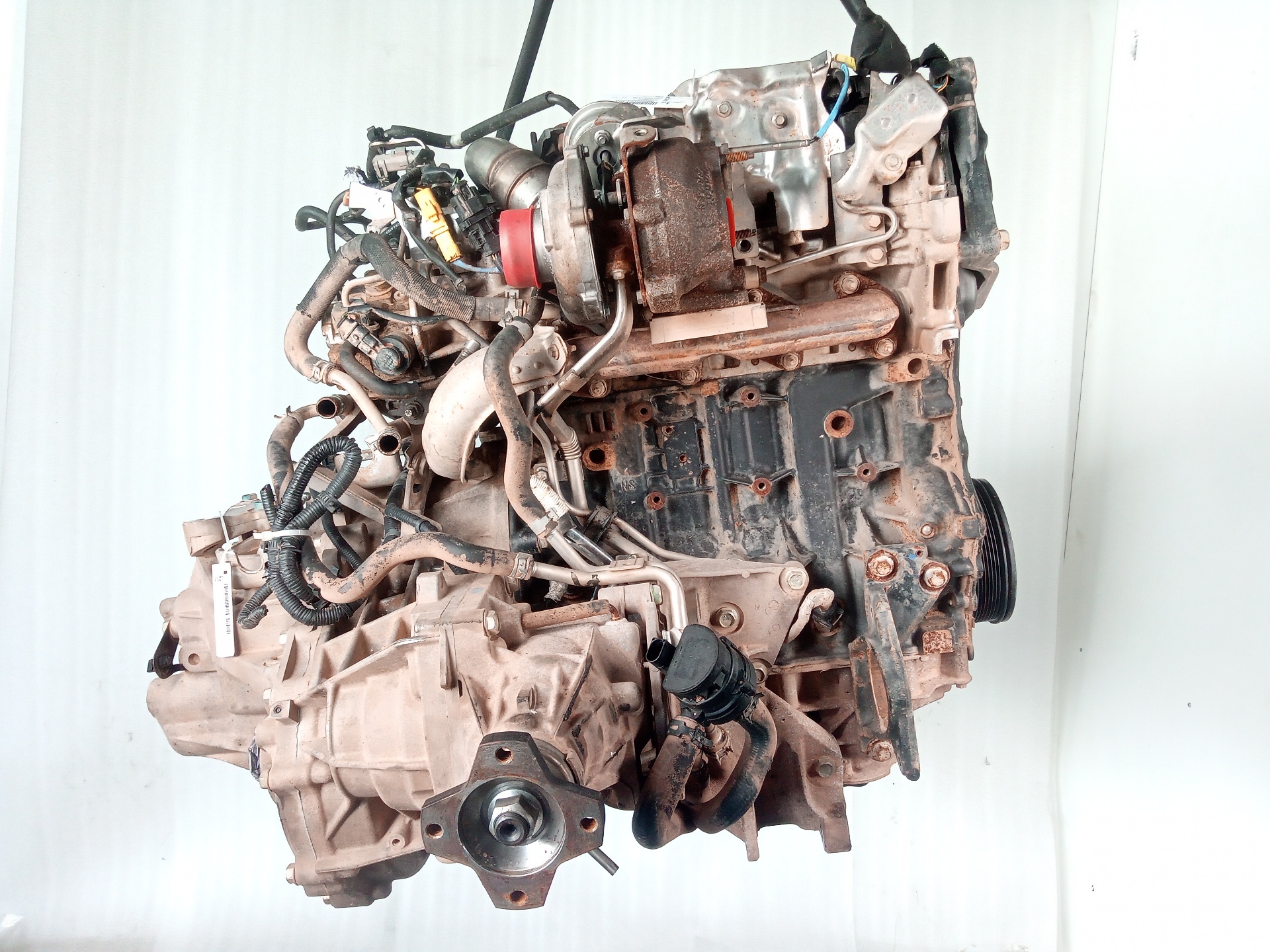 NISSAN Qashqai 1 generation (2007-2014) Engine M9R832 24826993