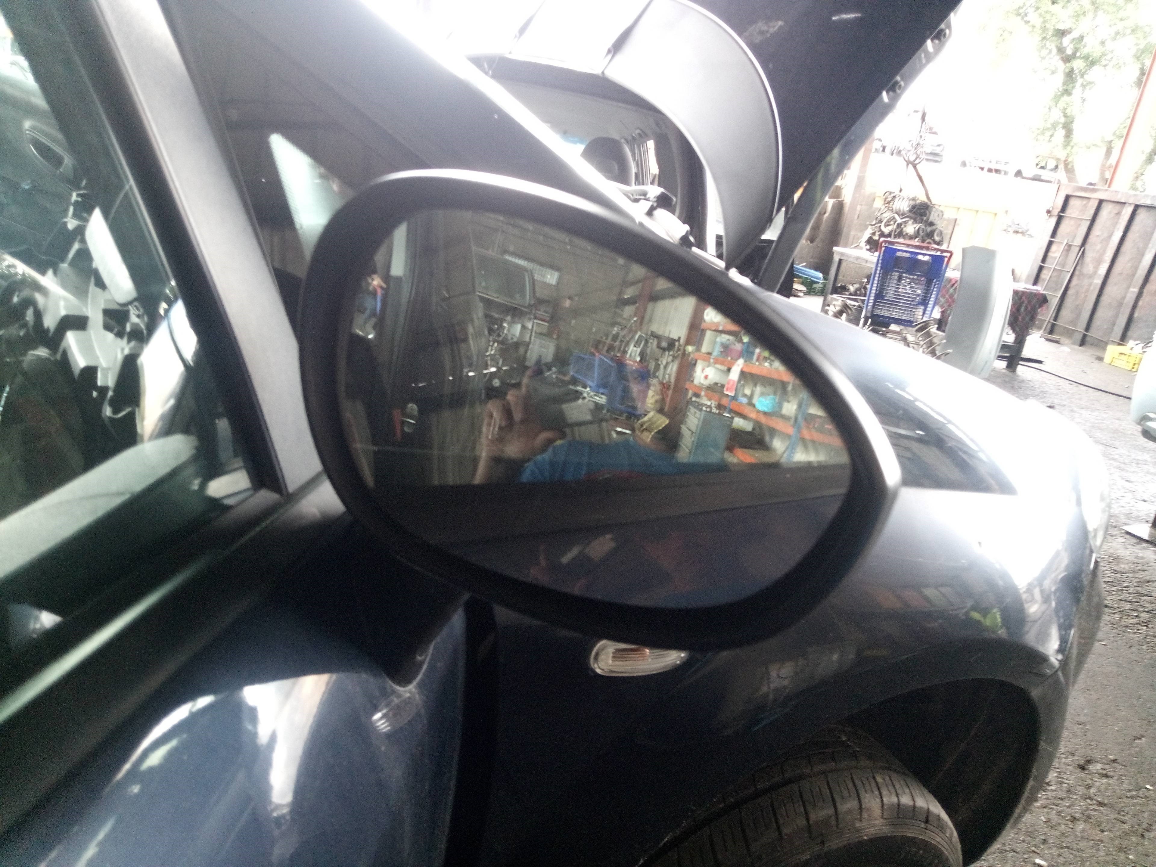 FIAT Punto 3 generation (2005-2020) Priekinių dešinių durų veidrodis 25240565