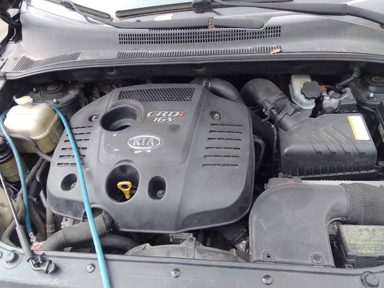 KIA Sportage 2 generation (2004-2010) Arbre de transmission court de boîte de vitesses 493002E300 20029432