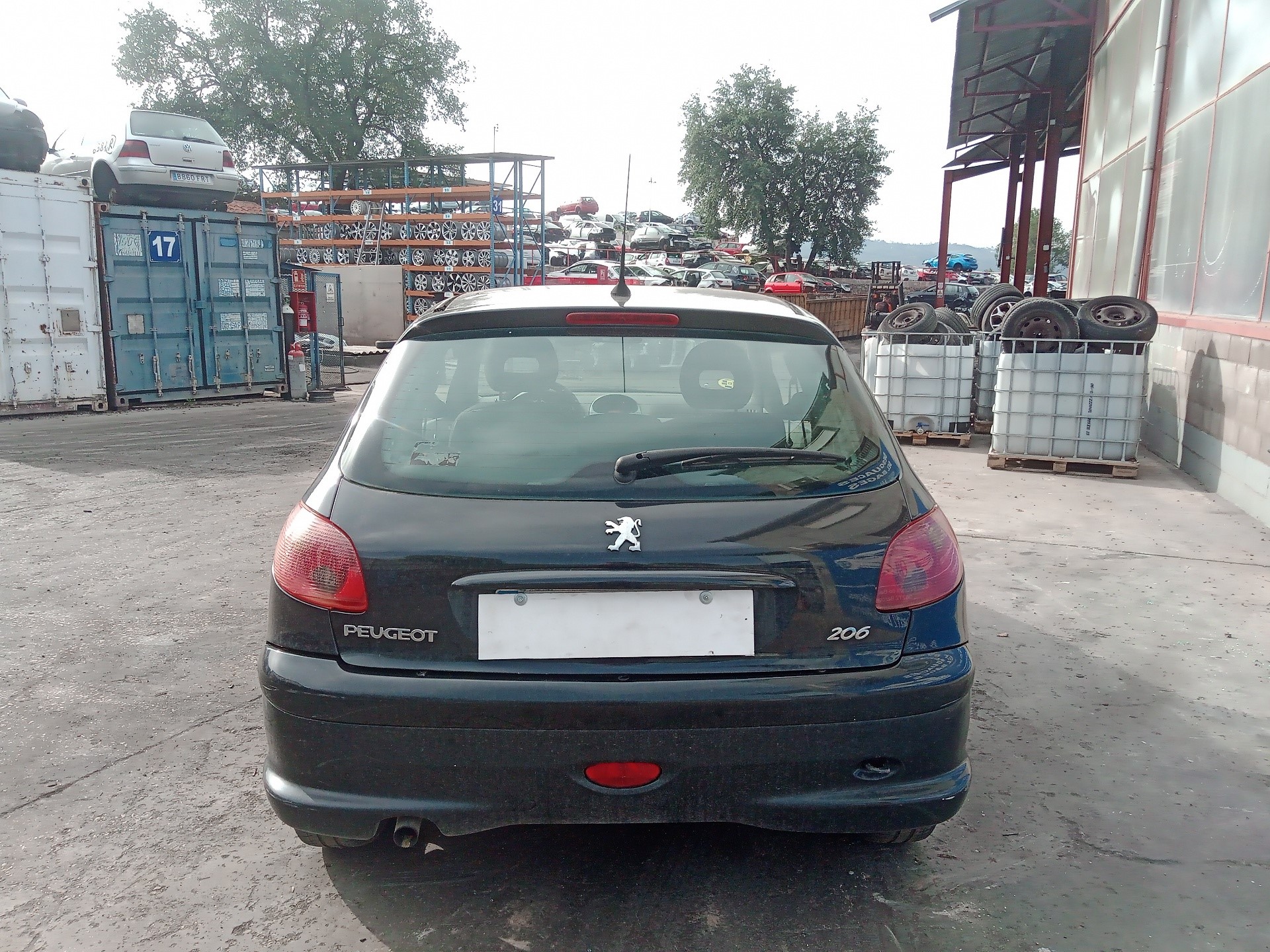 PEUGEOT 206 1 generation (1998-2009) Зеркало передней левой двери 017003 23801539