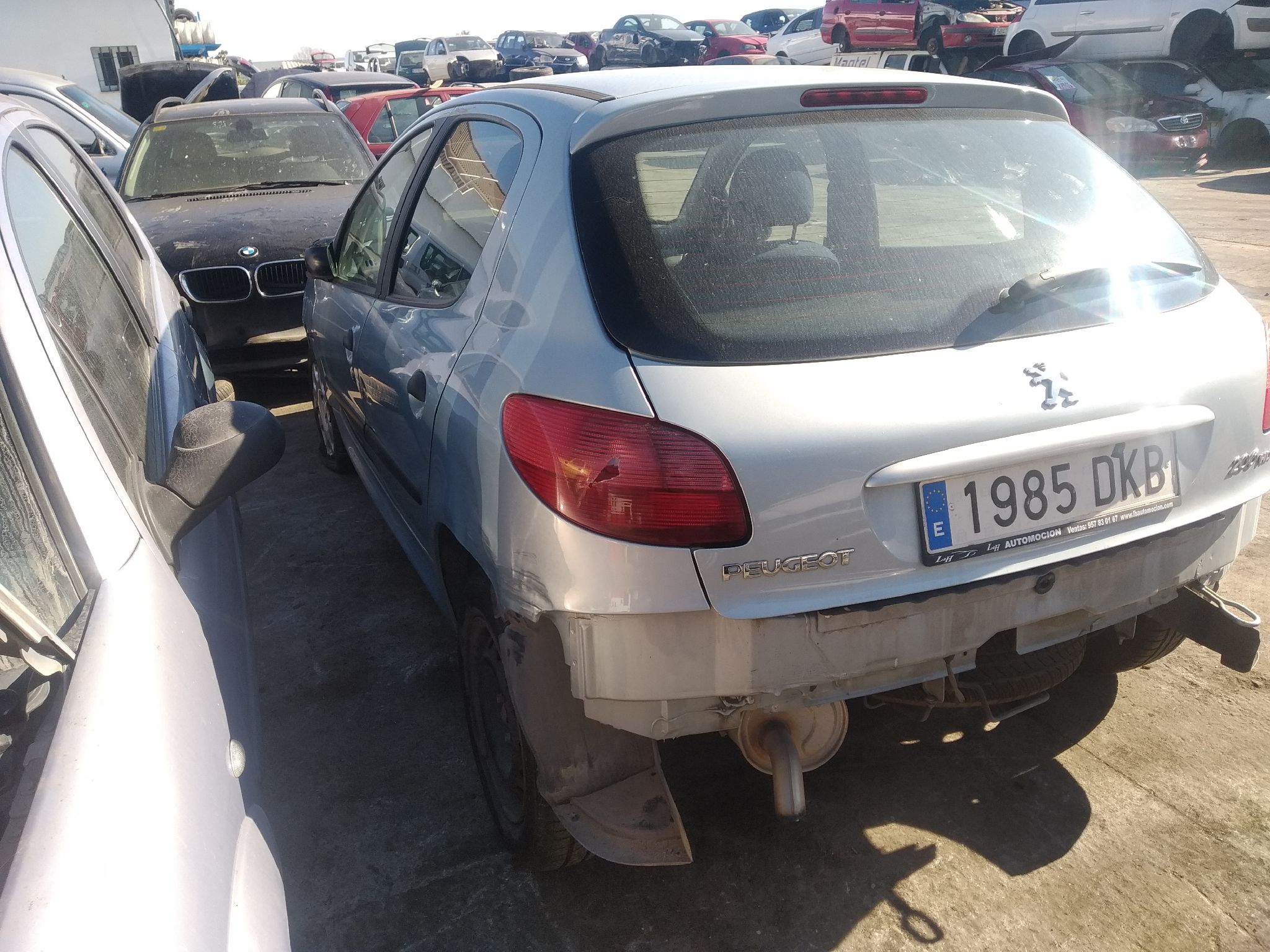 PEUGEOT 206 1 generation (1998-2009) Hасос кондиционера 1449 18878657