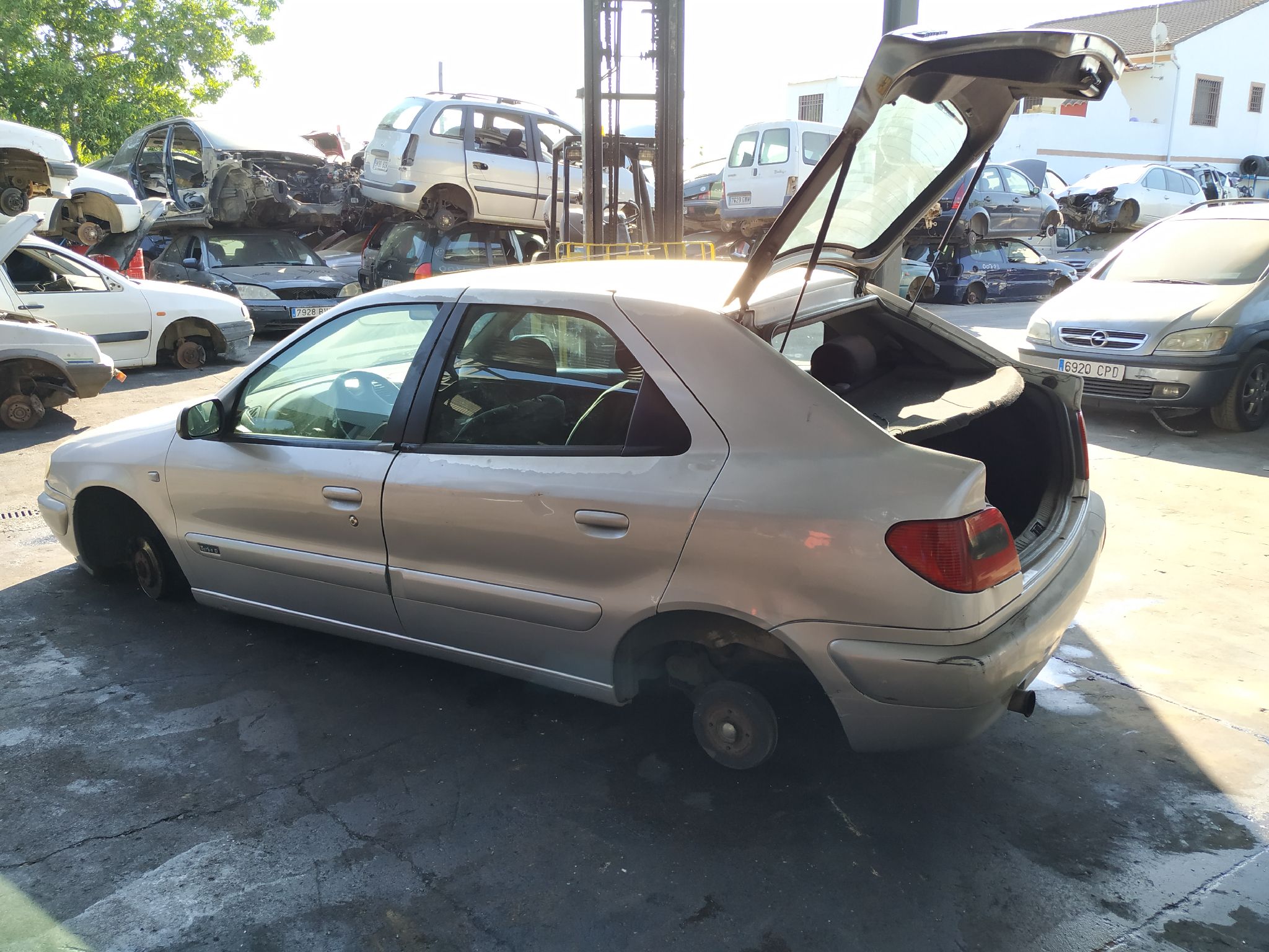 CITROËN Xsara 1 generation (1997-2004) Насос гидроусилителя 9631923580 18904287