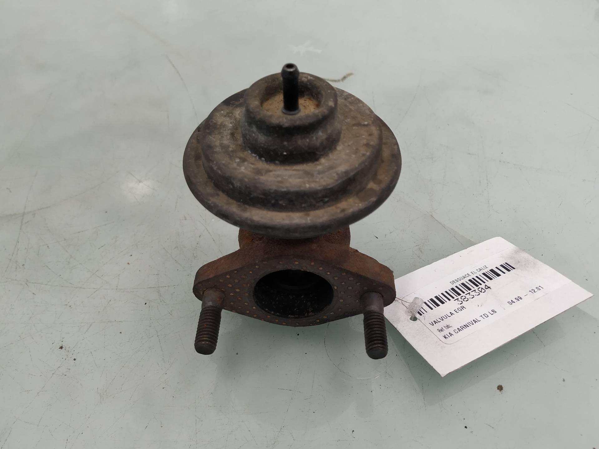 KIA Carnival UP/GQ (1999-2006) EGR Valve 24896667