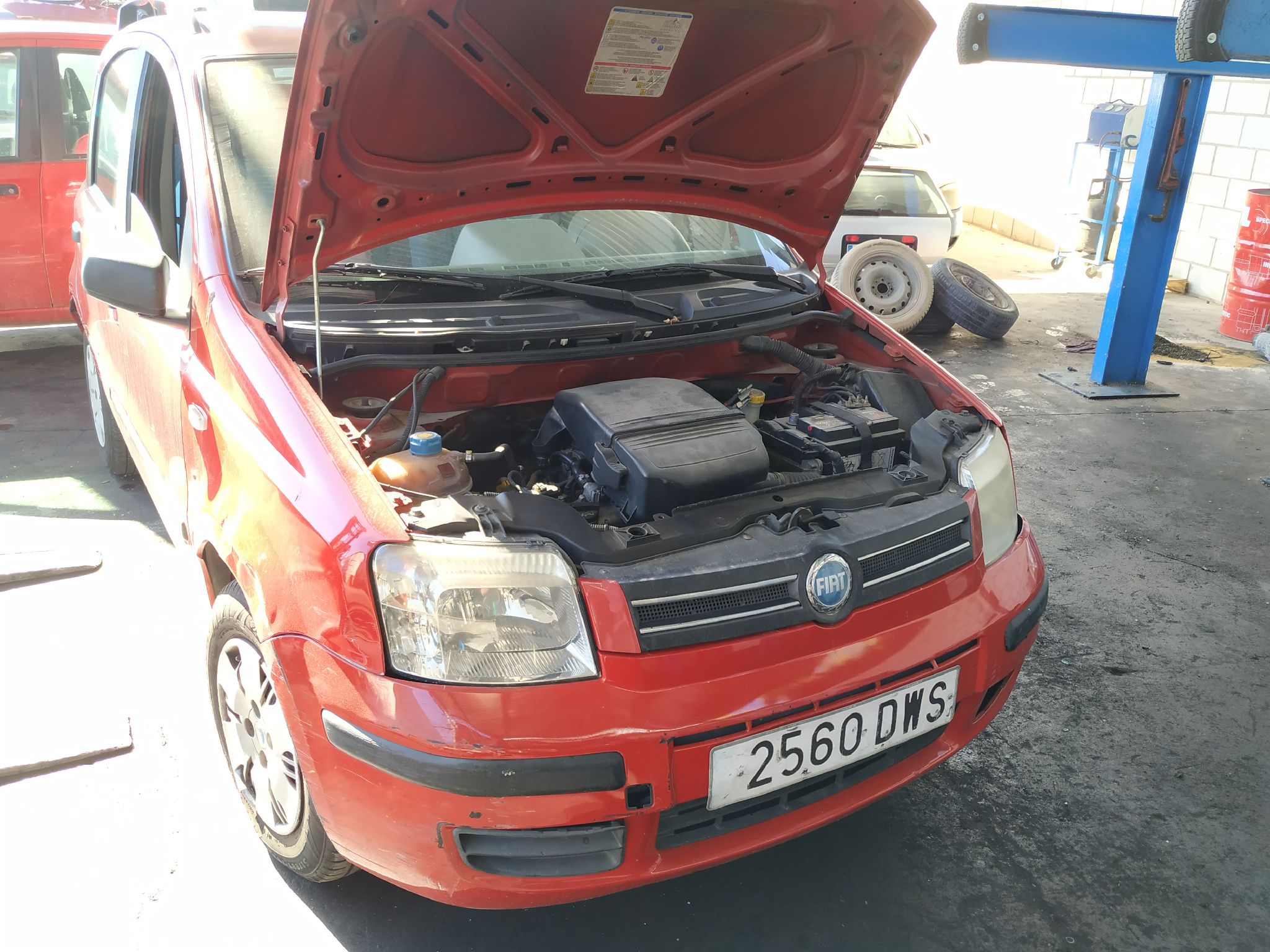 FIAT Panda 2 generation (2003-2011) Μίζα 55193355 18914479