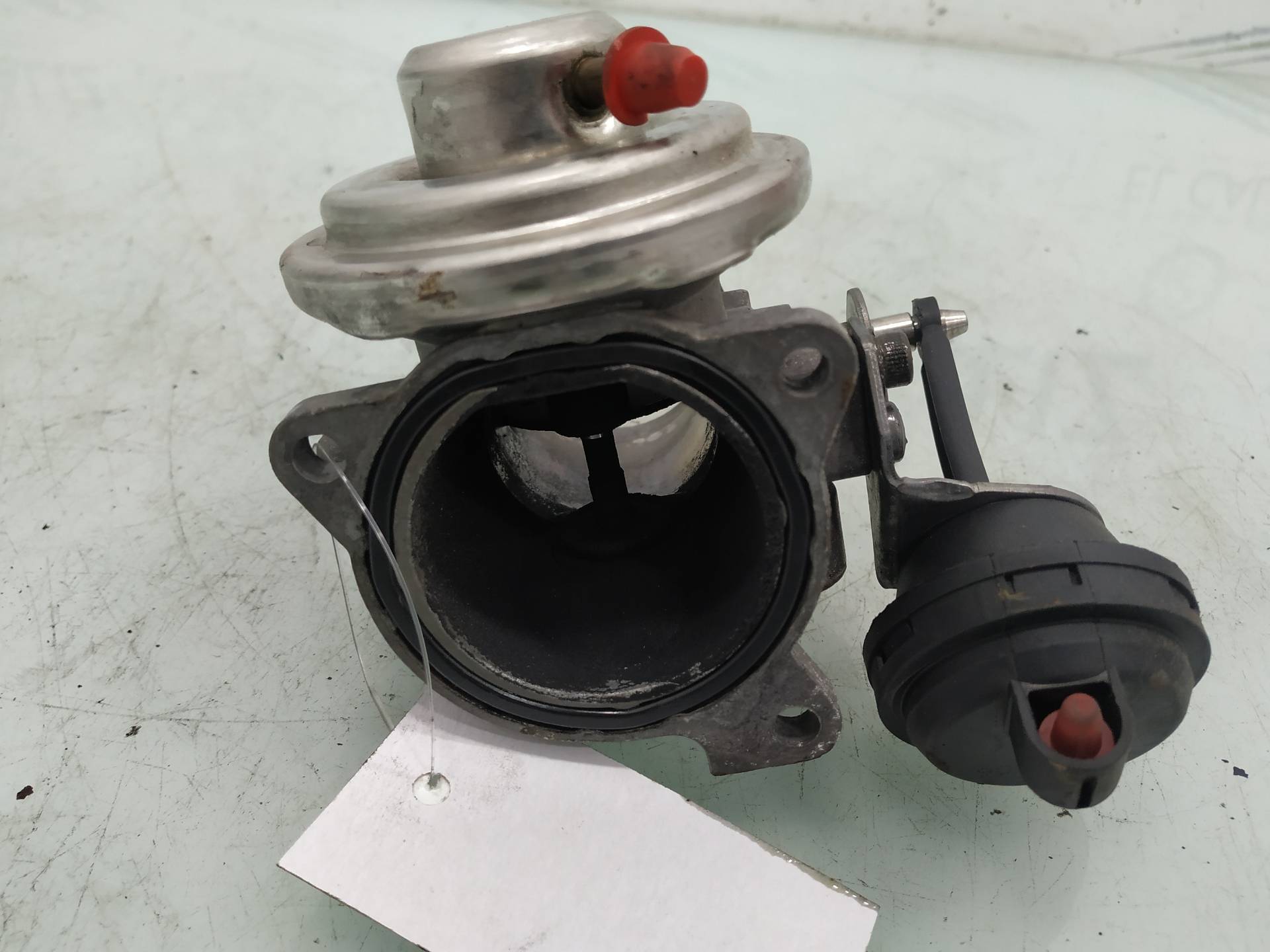 SEAT Toledo 2 generation (1999-2006) EGR Valve 038129637B 19149502