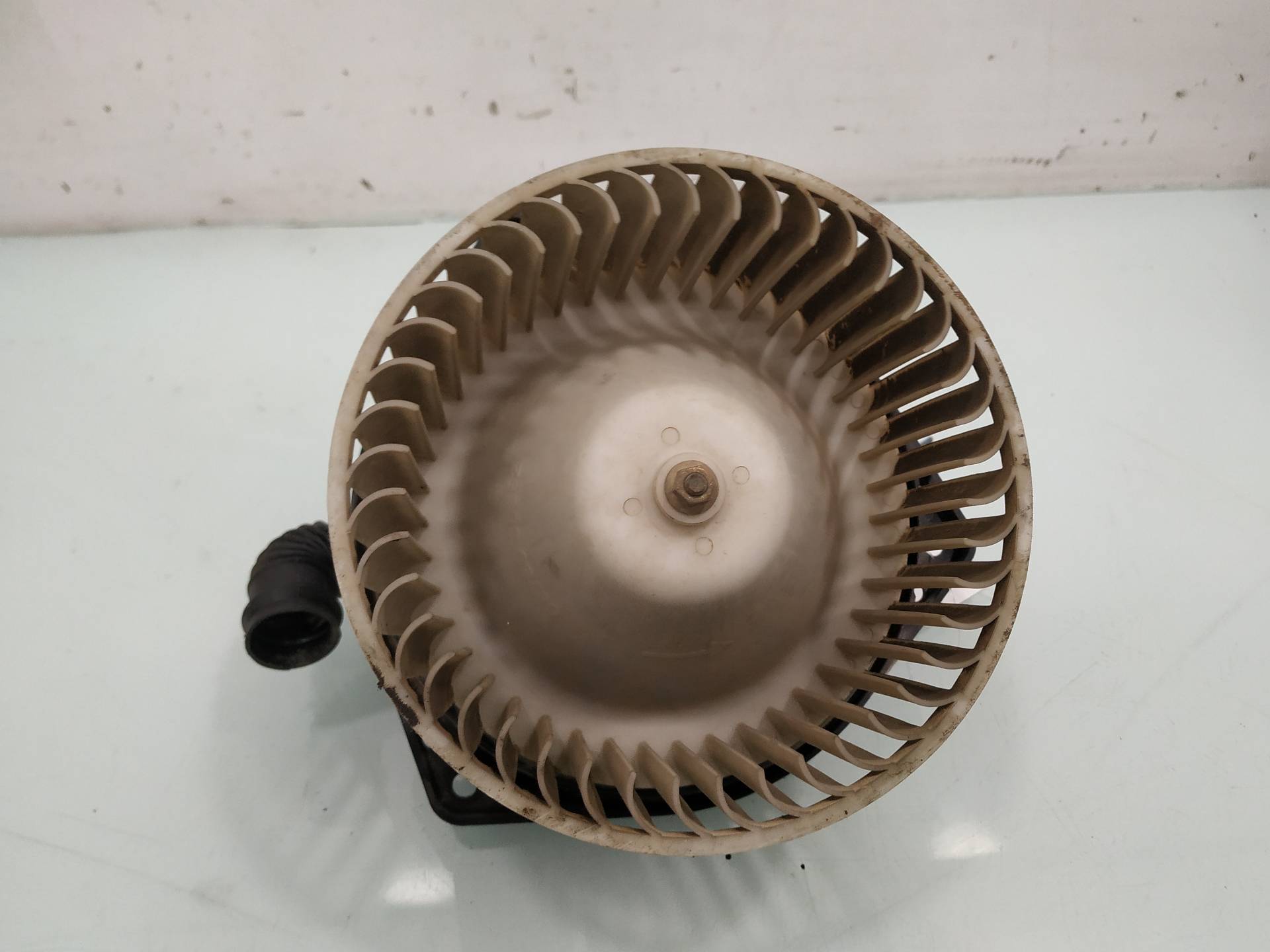 NISSAN Almera N15 (1995-2000) Heater Blower Fan 19145121