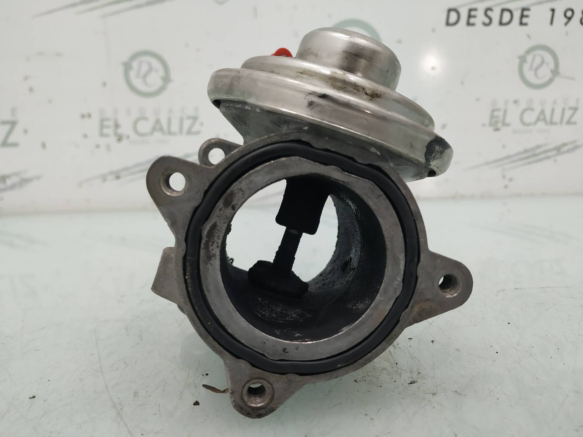 SEAT Cordoba 2 generation (1999-2009) EGR Valve 045129637A 18941246