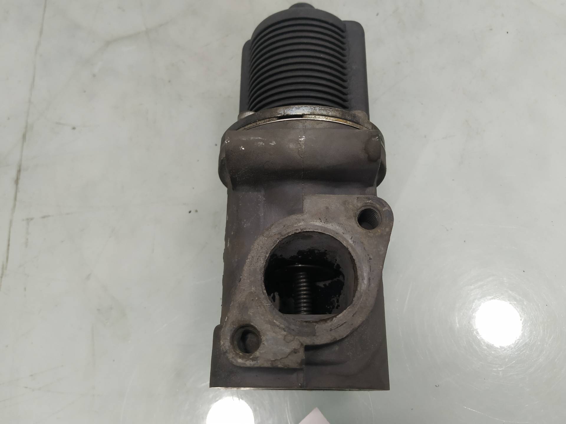 OPEL Vectra C (2002-2005) EGR Valve 50024005 19064424