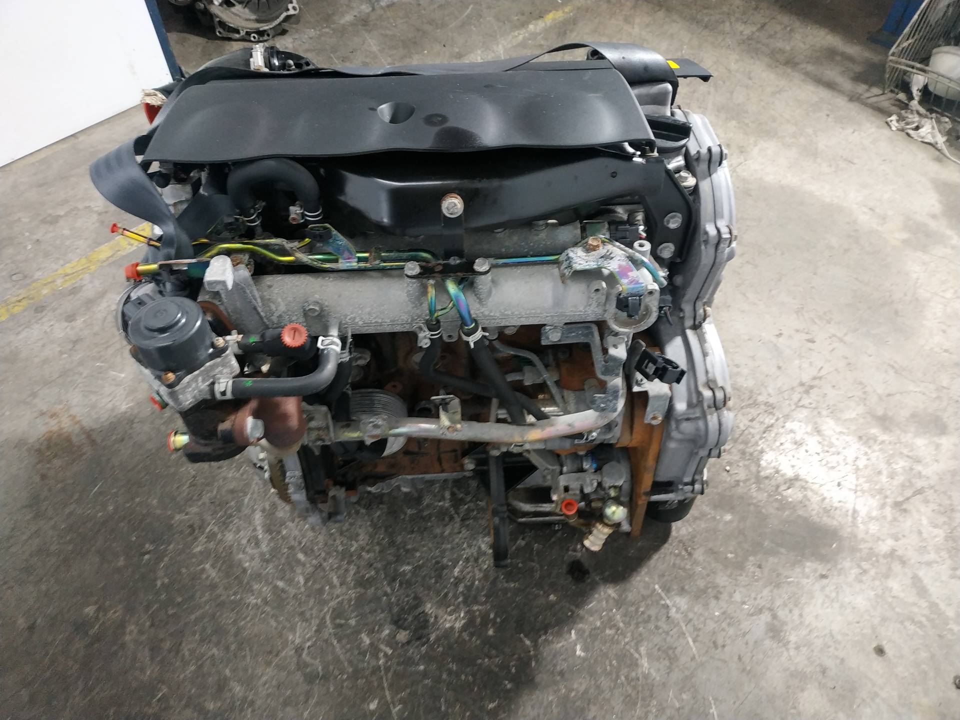 NISSAN Almera N16 (2000-2006) Motor YD22 25039884