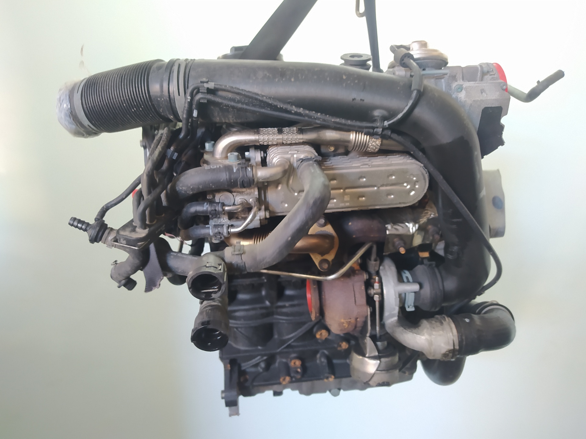 VOLKSWAGEN Golf Plus 2 generation (2009-2014) Motor BKC 25351756